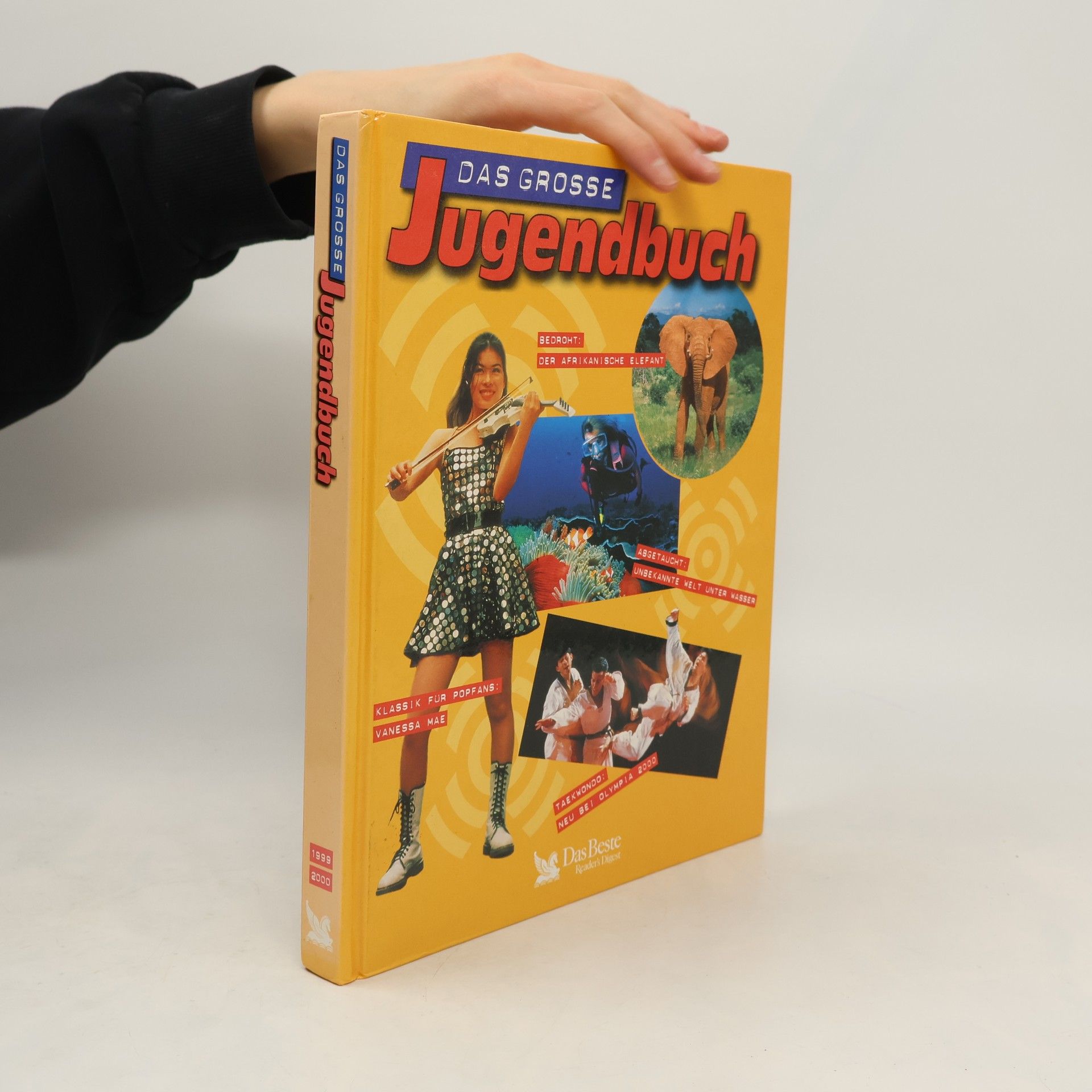 Various authors Das Grosse Jugendbuch