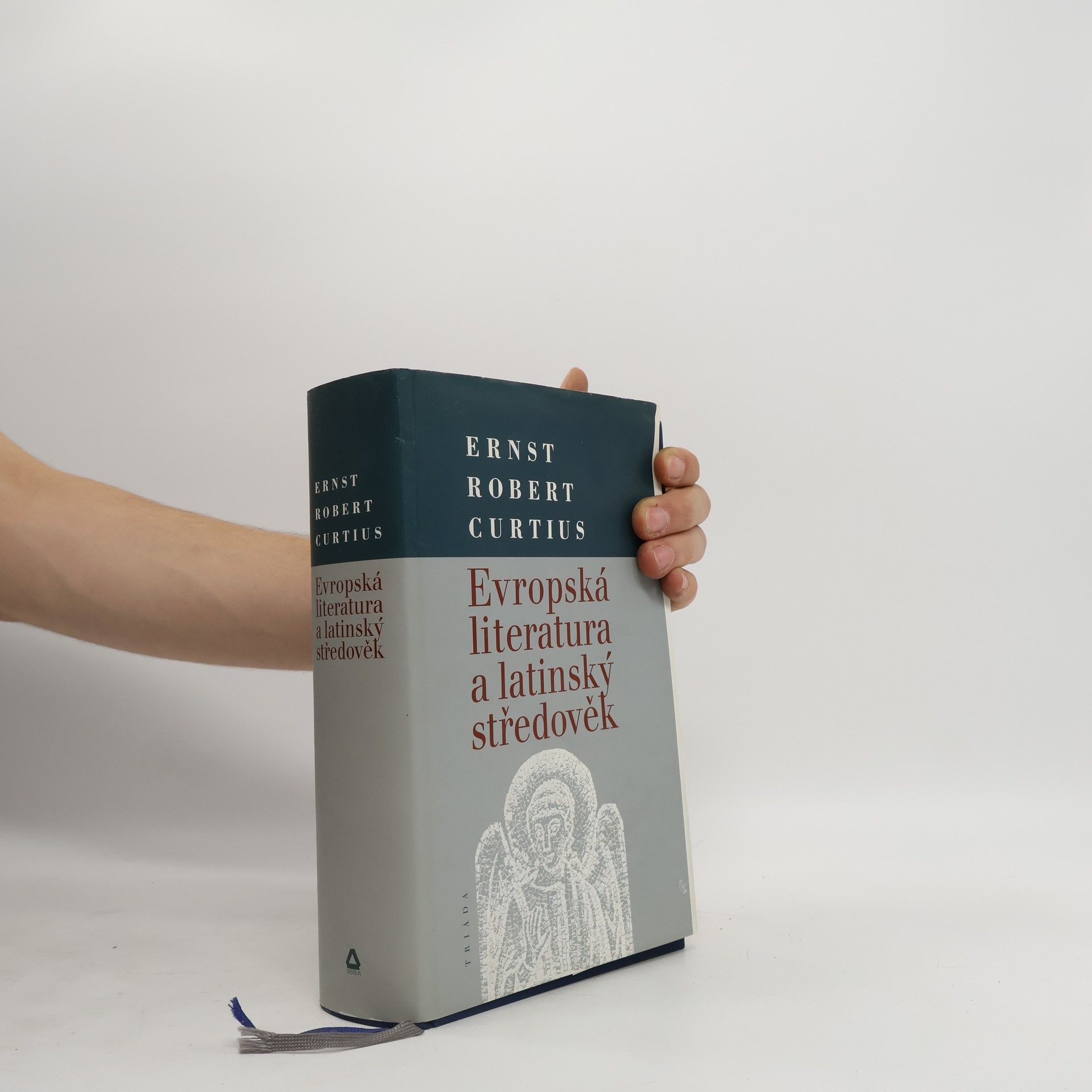 Evropská literatura a latinský středověk