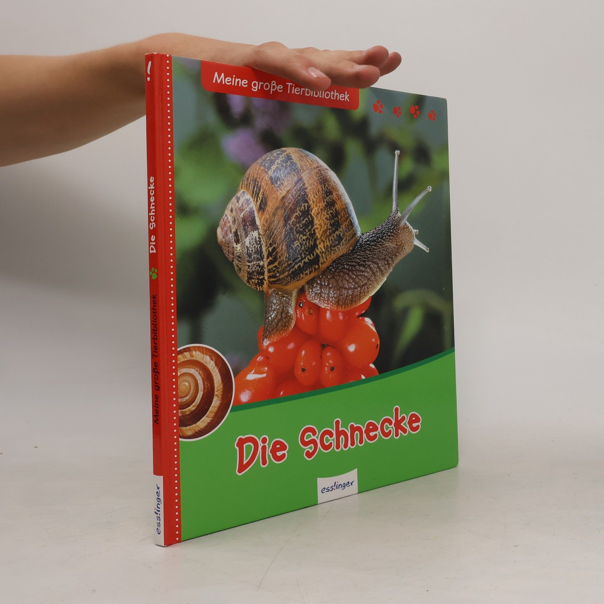 Paul Starosta Die Schnecke