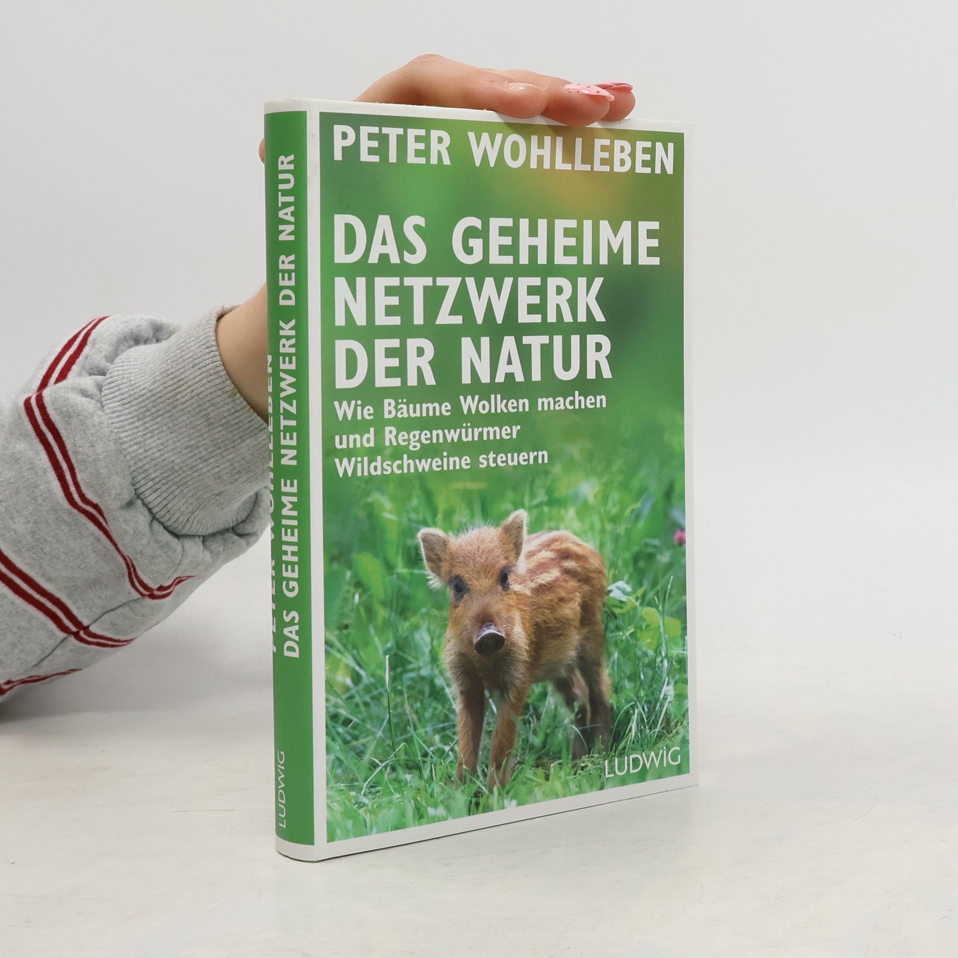 Peter Wohlleben Das geheime Netzwerk der Natur