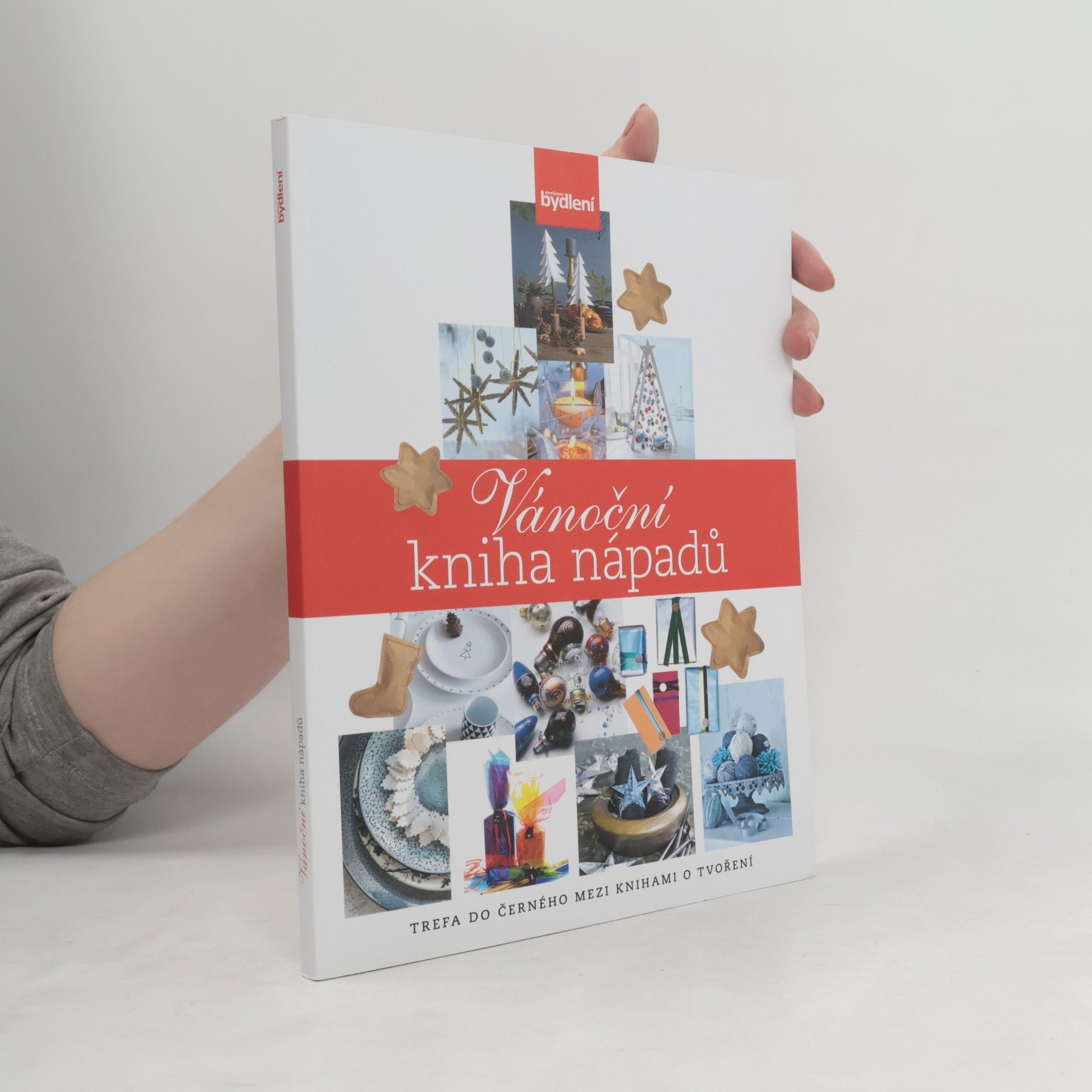 Collectif d'auteurs Vánoční kniha nápadů