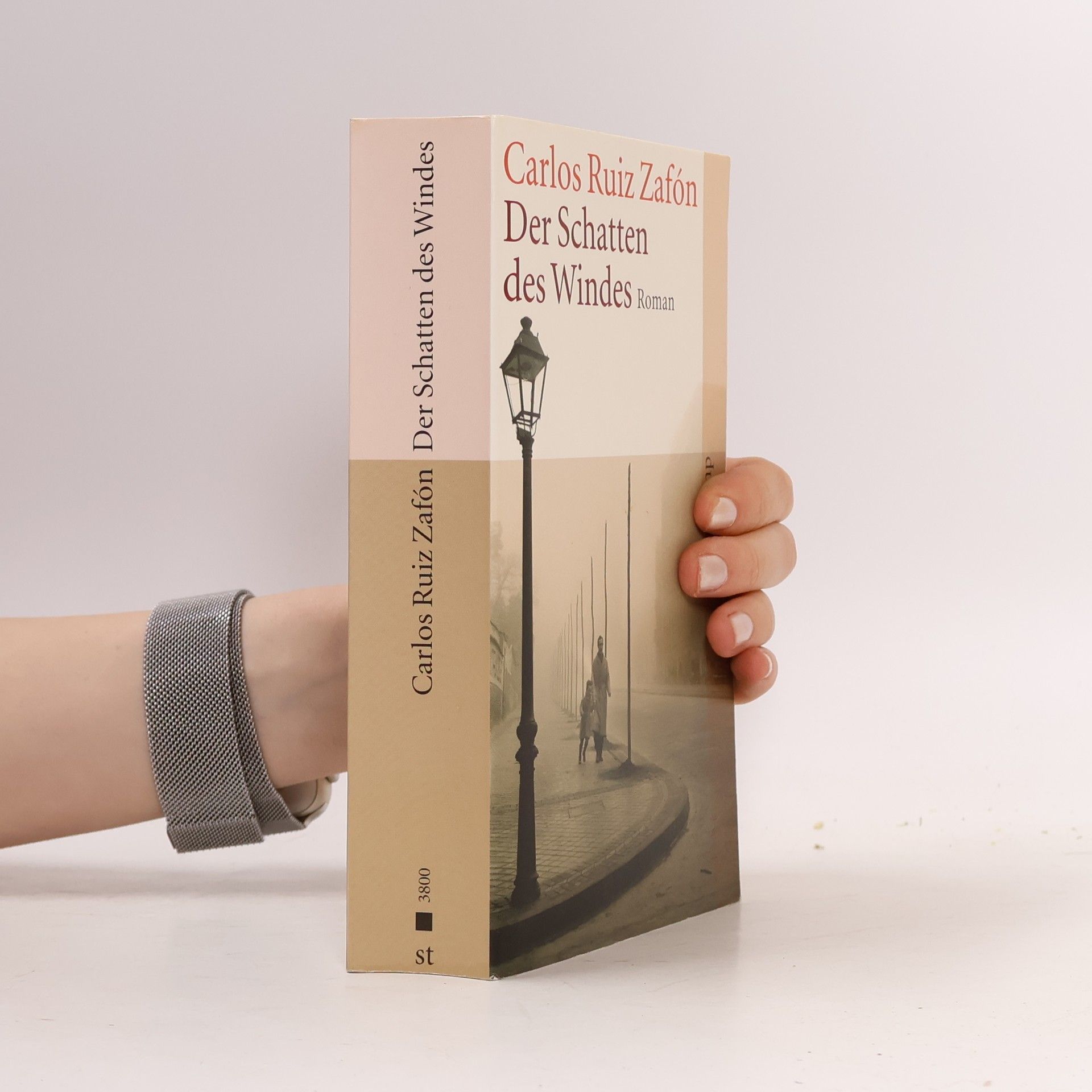 Carlos Ruiz Zafón Der Schatten des Windes