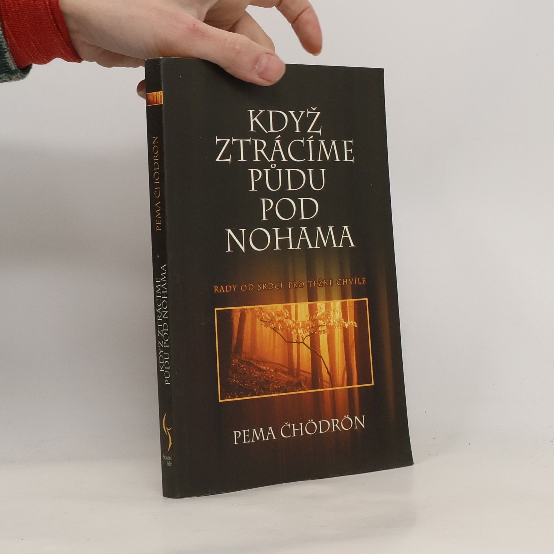 Pema Chödrön Když ztrácíme půdu pod nohama