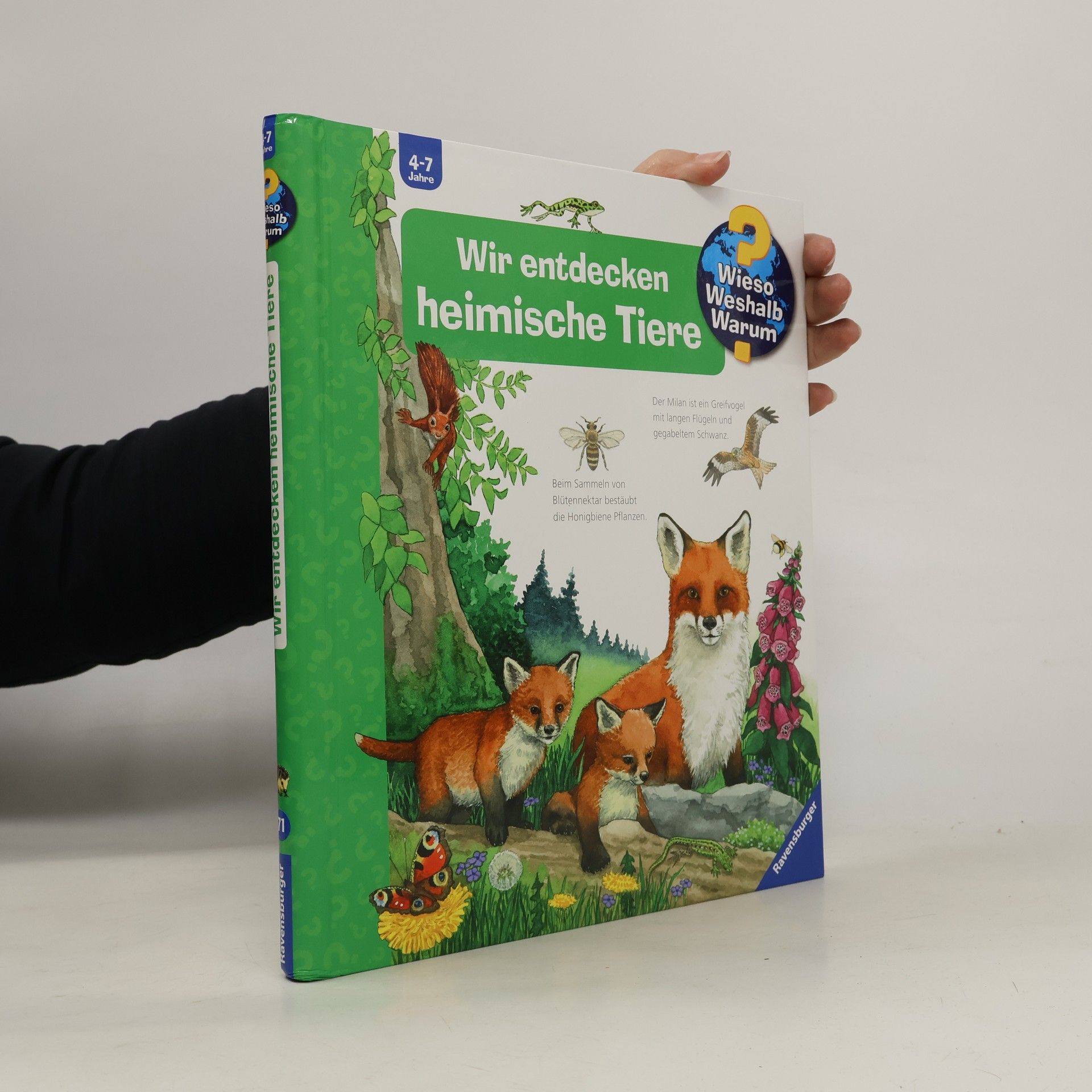 Anne Ebert Wir entdecken heimische Tiere