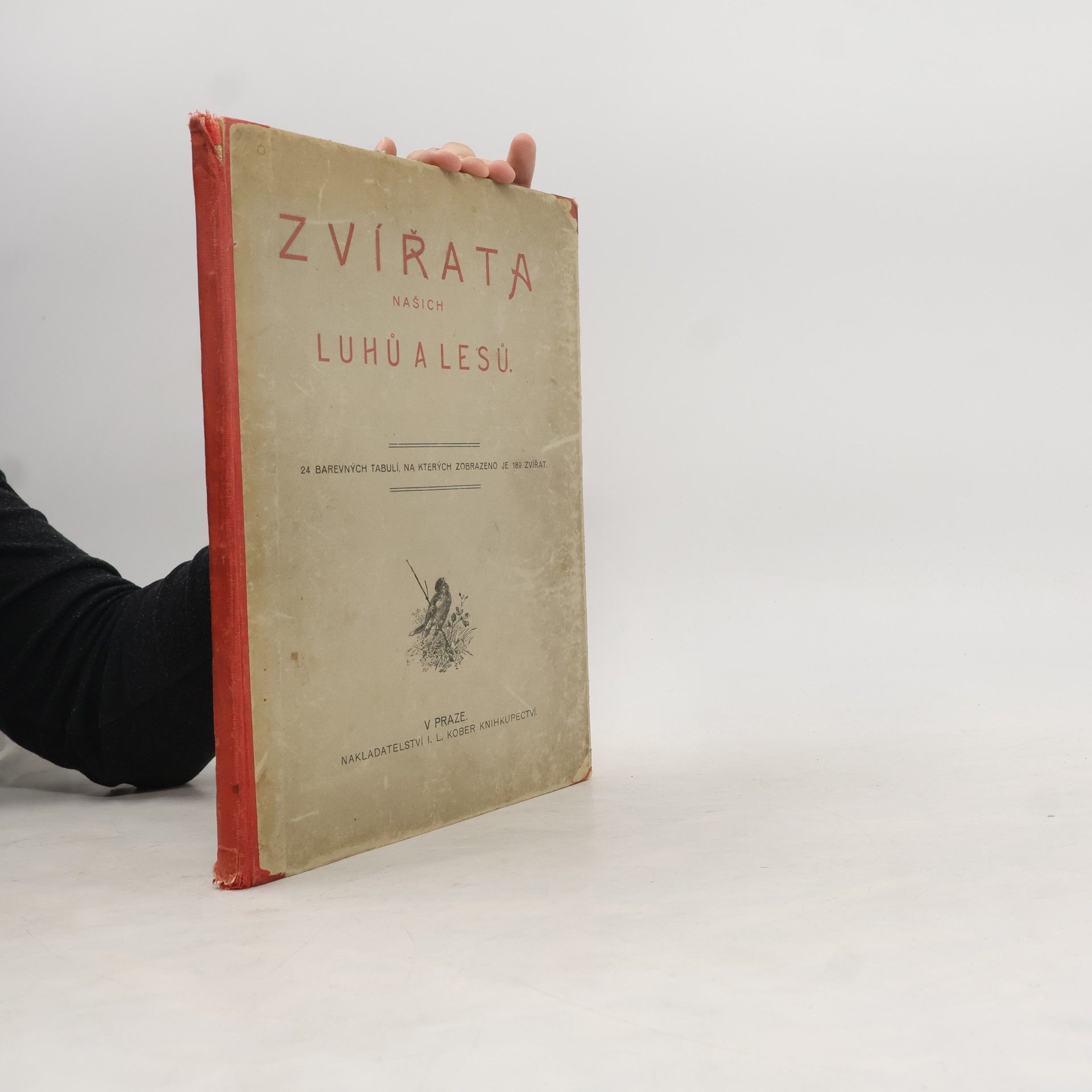 Collectif d'auteurs Zvířata našich luhů a lesů