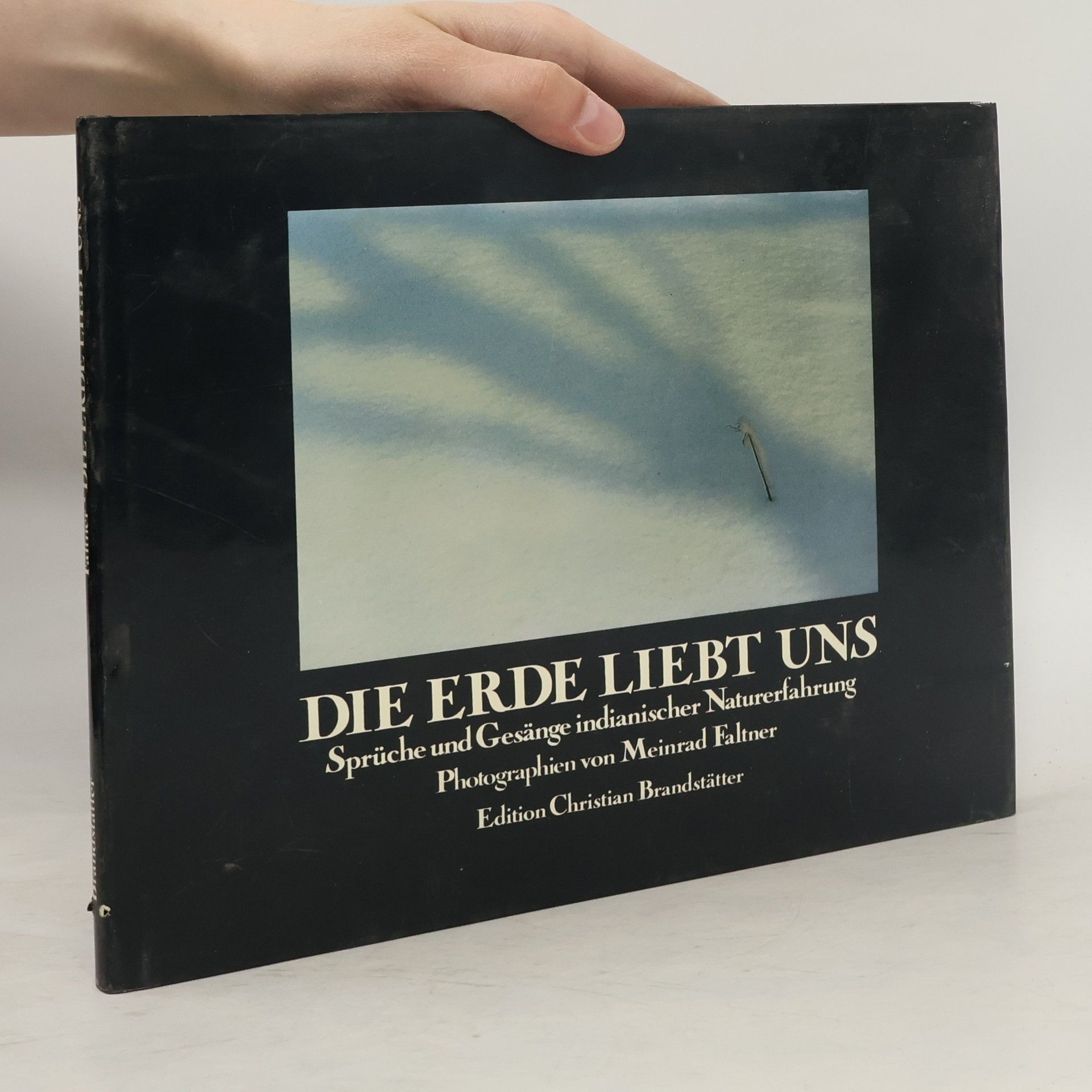 Christian Brandstätter Die erde liebt uns