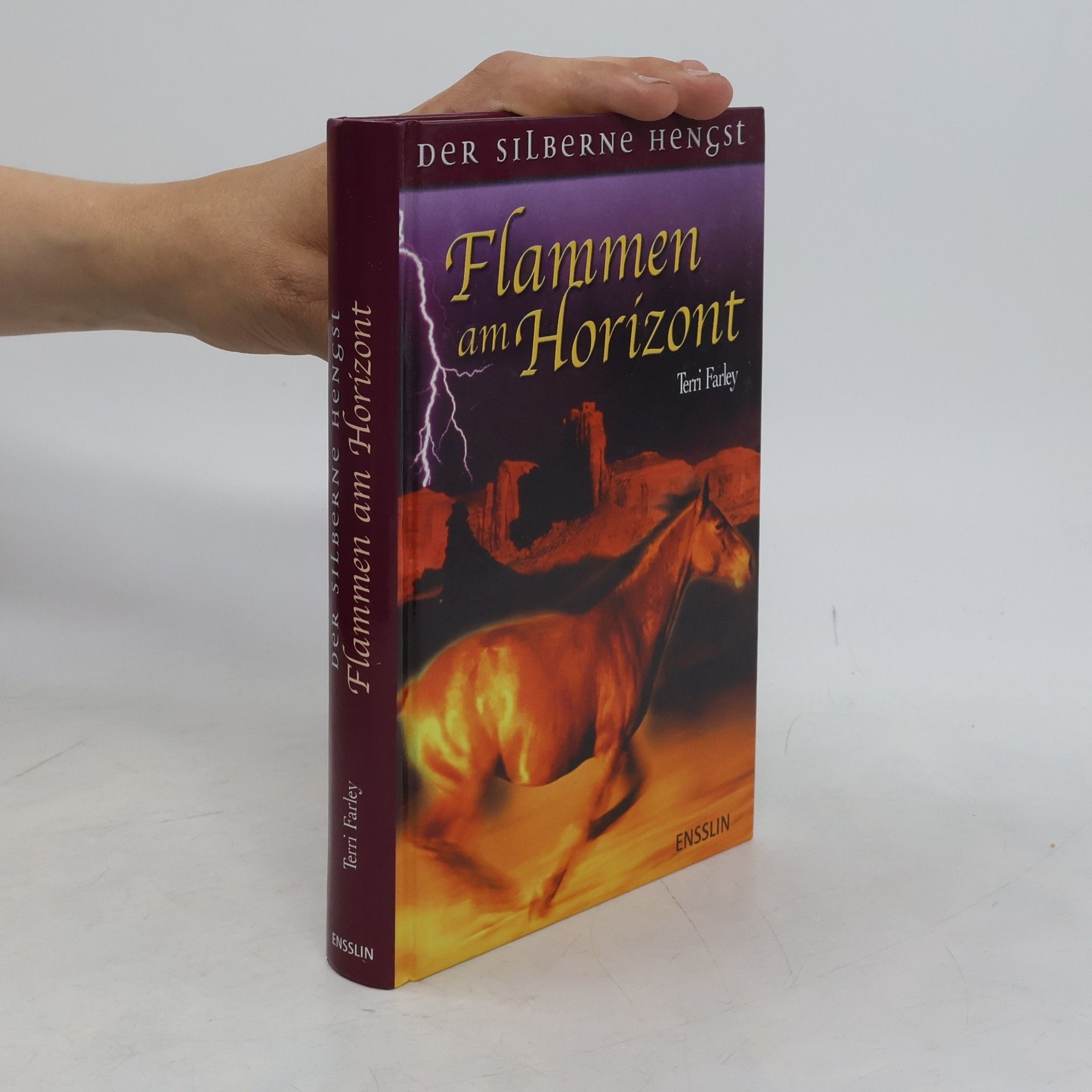 Terri Farley Flammen am Horizont