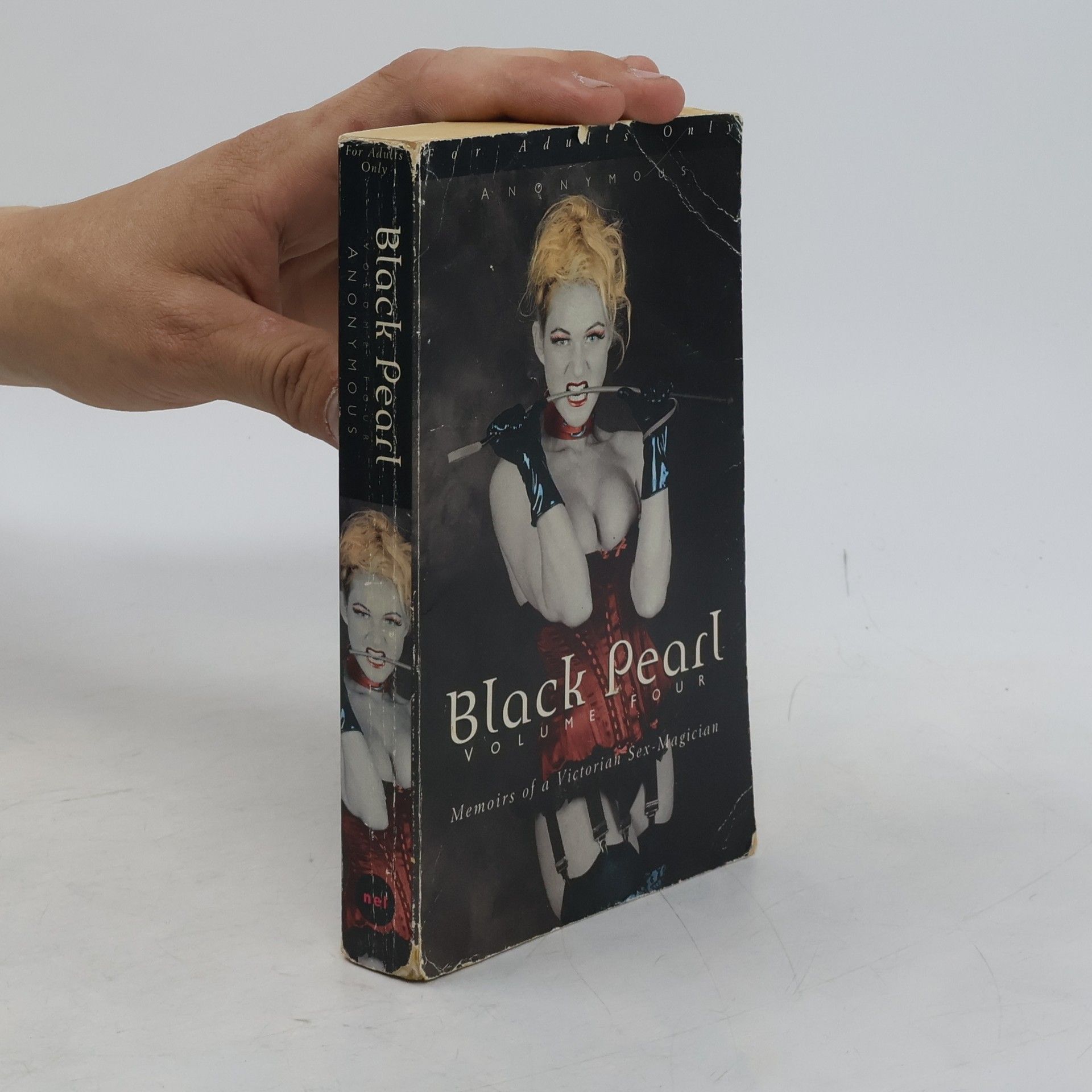 anonym The Memoirs of a Victorian Sex Magician - 4: Black Pearl