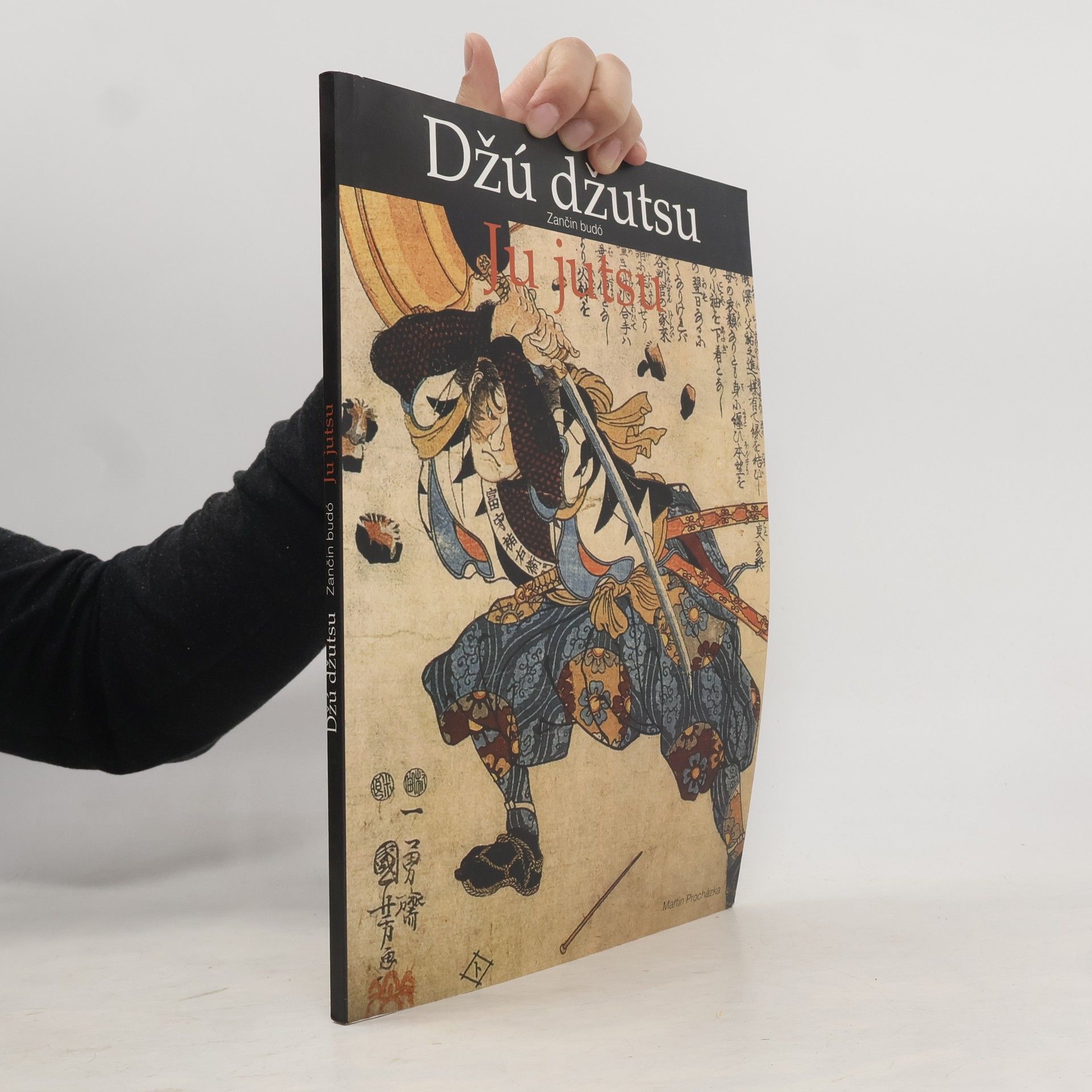 Martin Procházka Džú džutsu: Zančin budó - Ju jutsu
