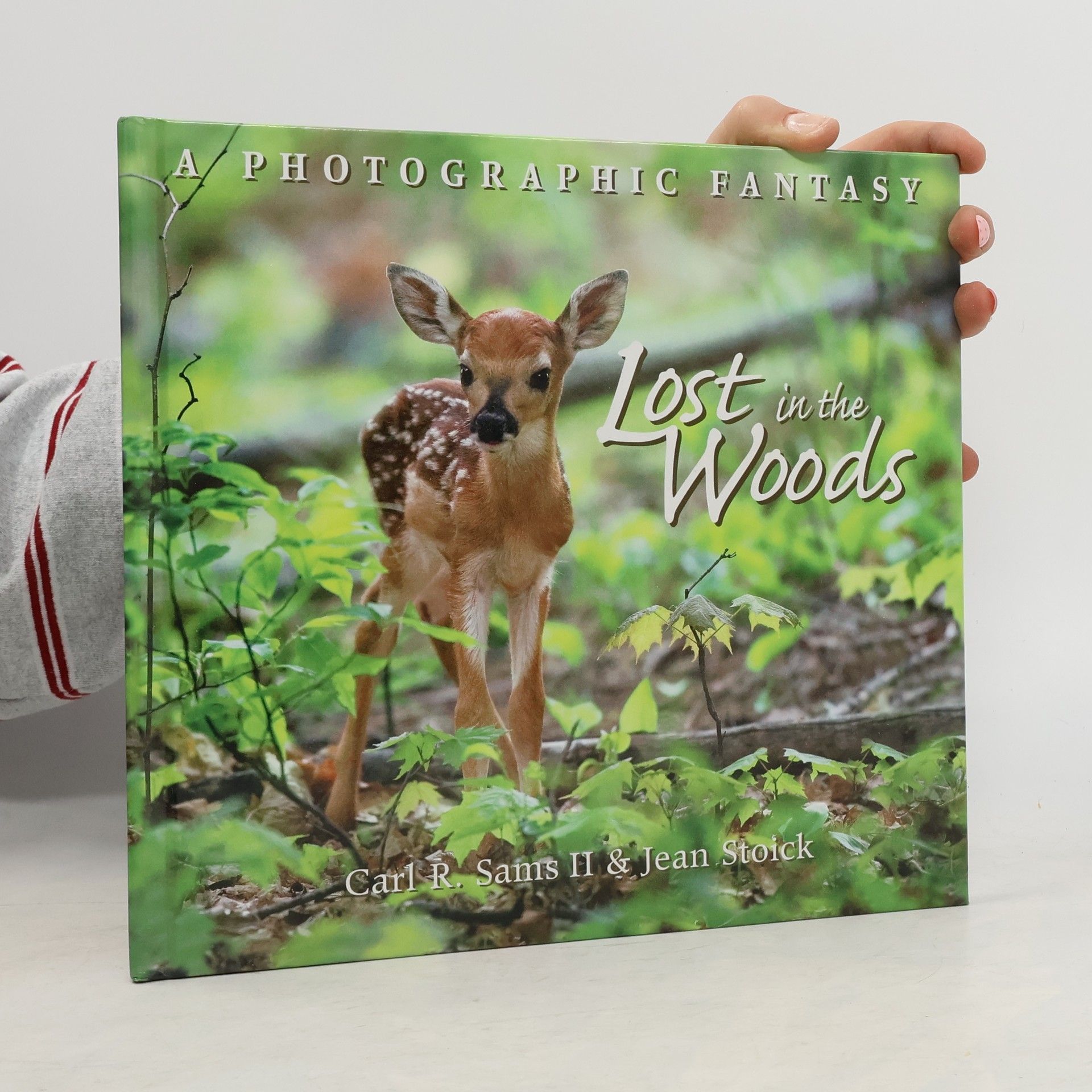 Carl R. Sams II Lost in the Woods