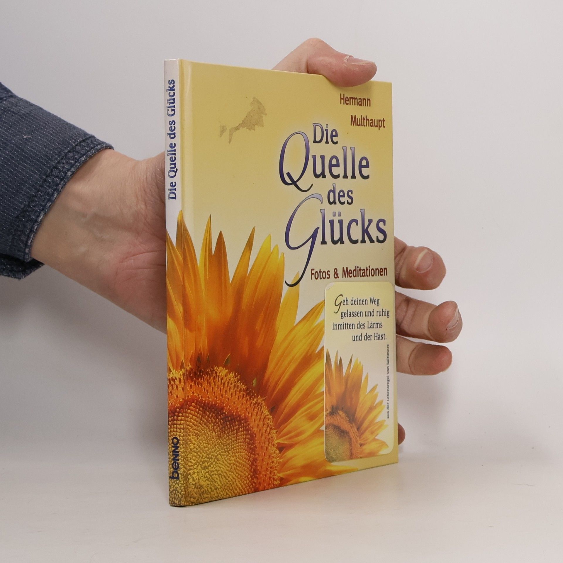 Hermann Multhaupt Die Quelle des Glücks