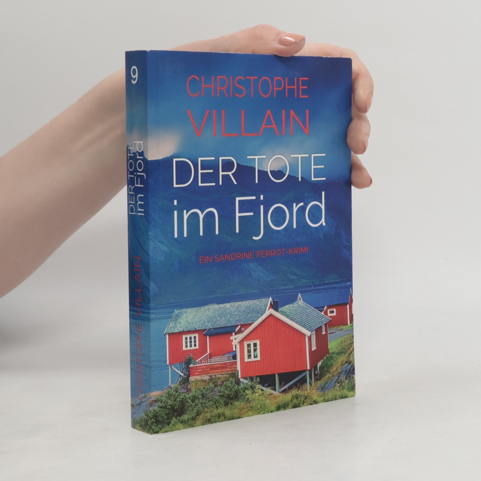Christophe Villain Sandrine Perrot - Der Tote im Fjord
