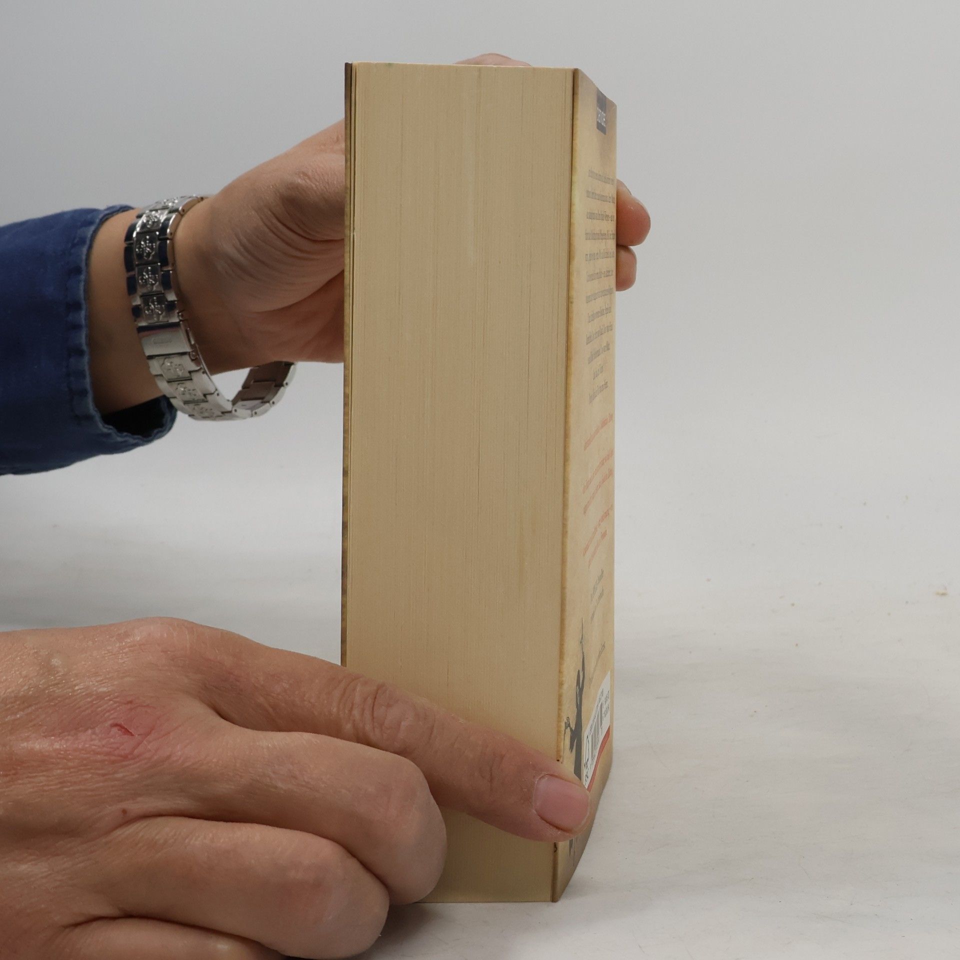 Markus Zusak Die Bücherdiebin: Roman