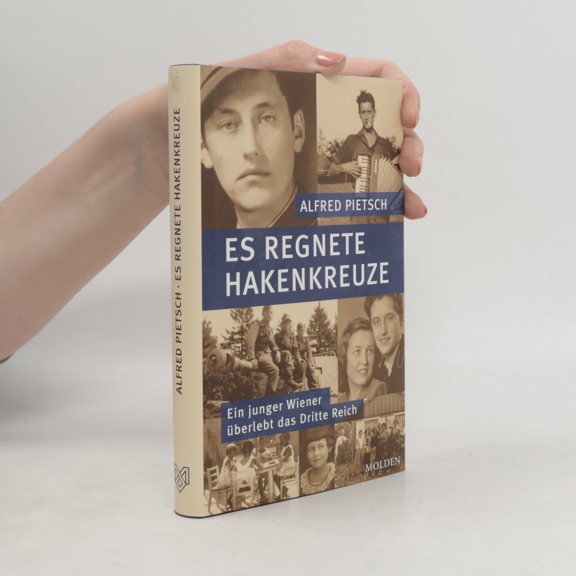 Alfred Pietsch Es regnete Hakenkreuze