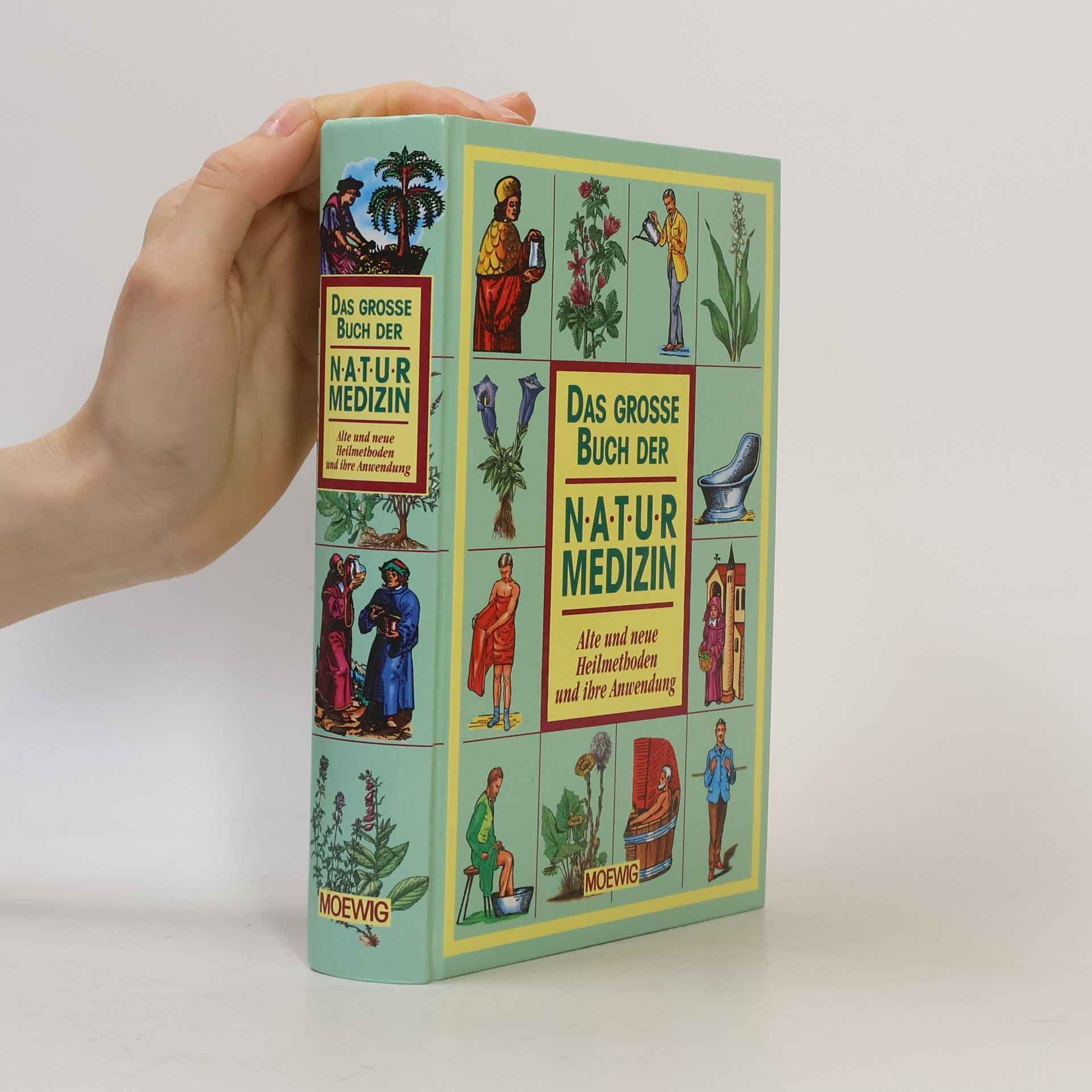 Maxmilian Alexander Das grosse Buch der Naturmedizin