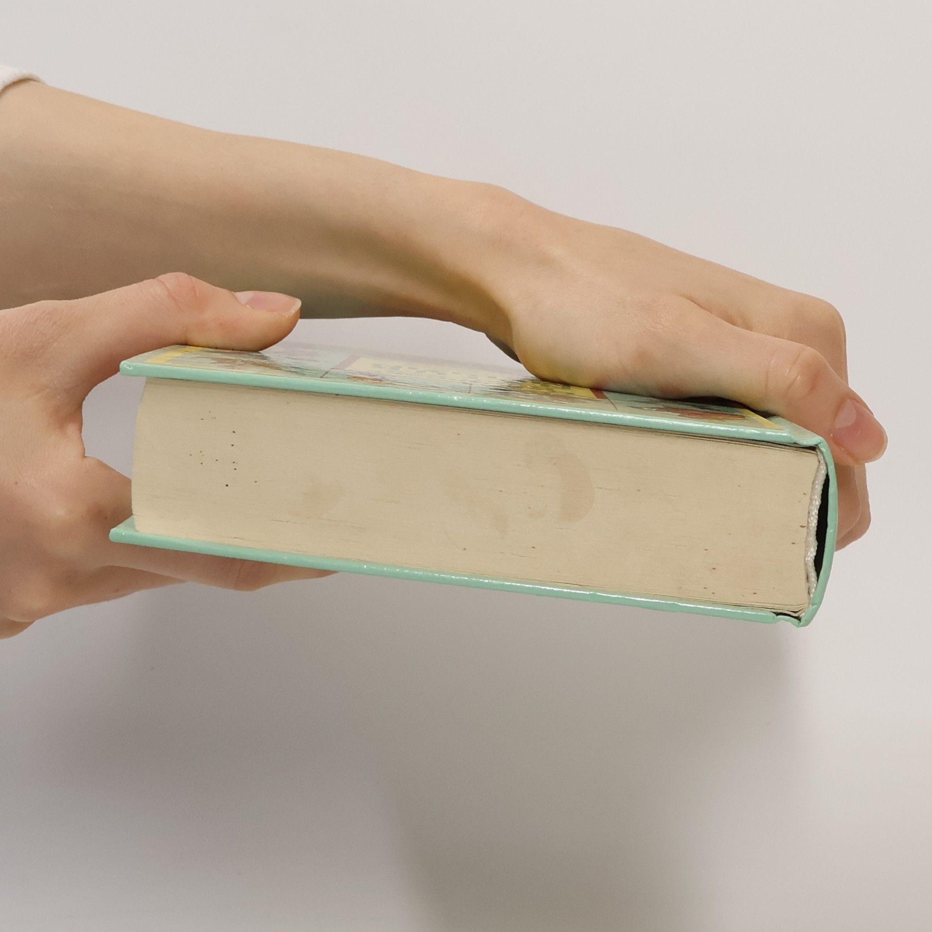 Maxmilian Alexander Das grosse Buch der Naturmedizin