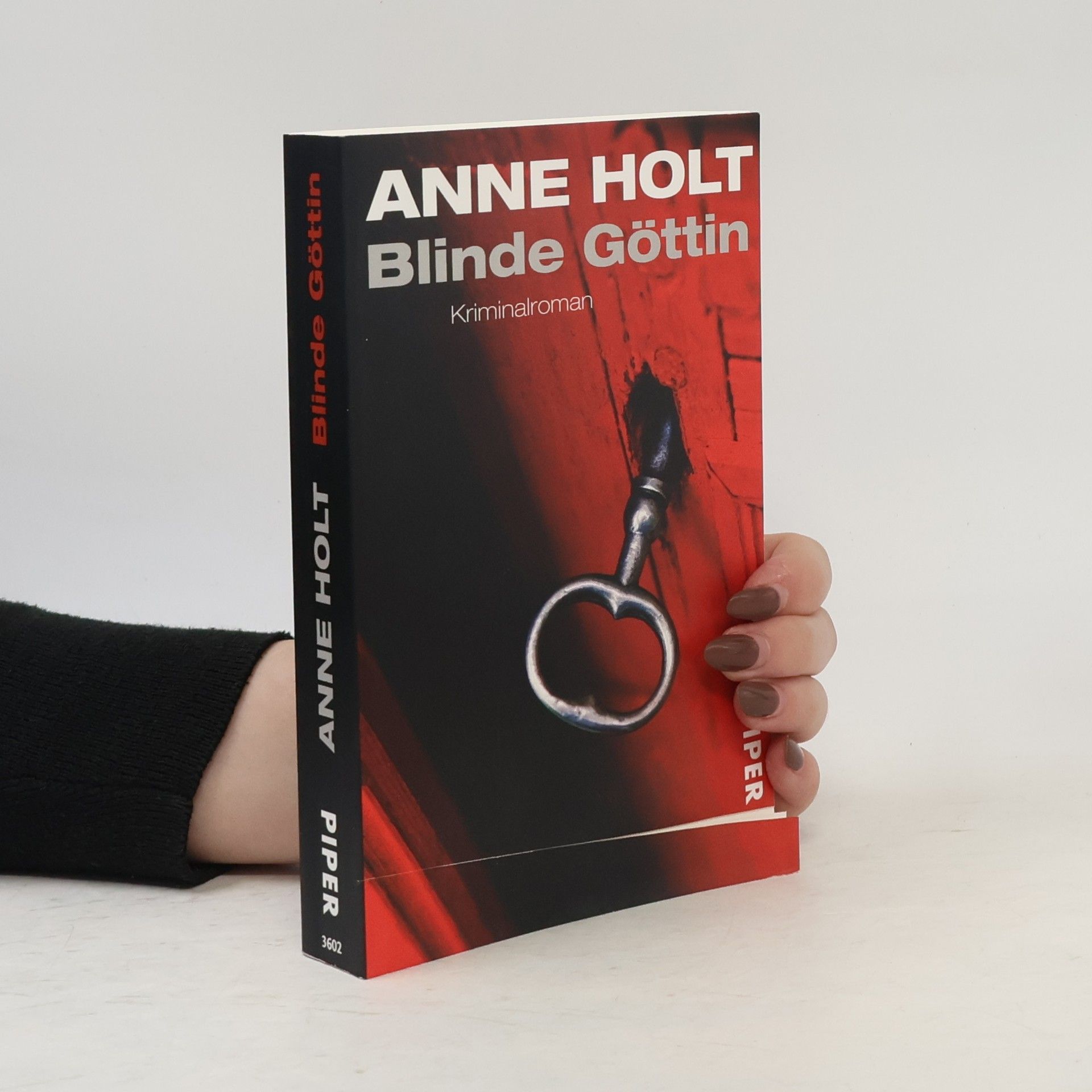 Anne Holt Blinde Göttin