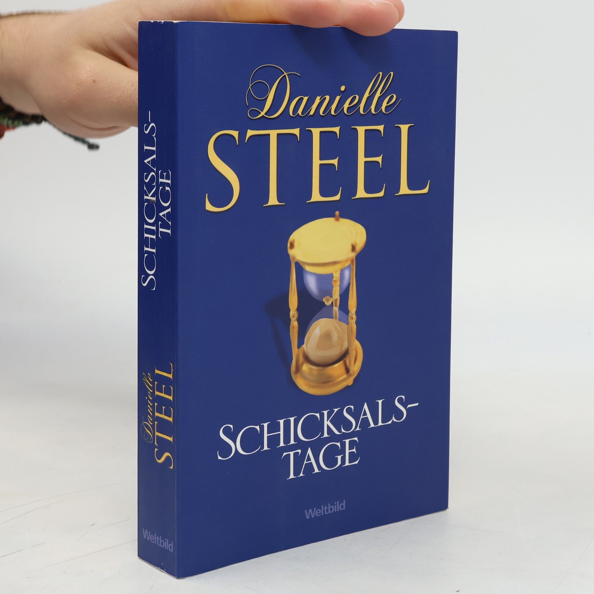 Danielle Steel Schicksalstage