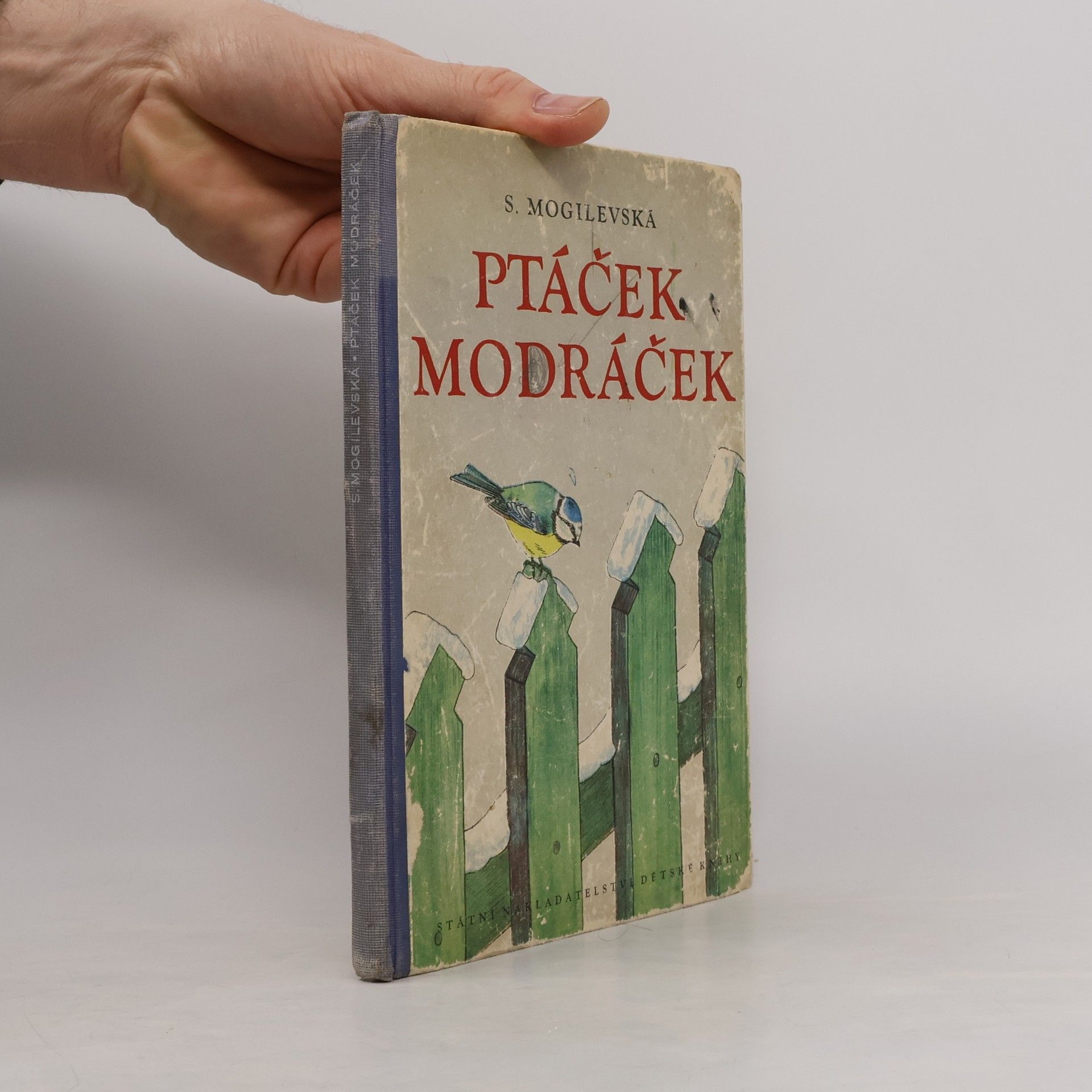 Sof ja Abramovna Mogilevskaja Ptáček modráček