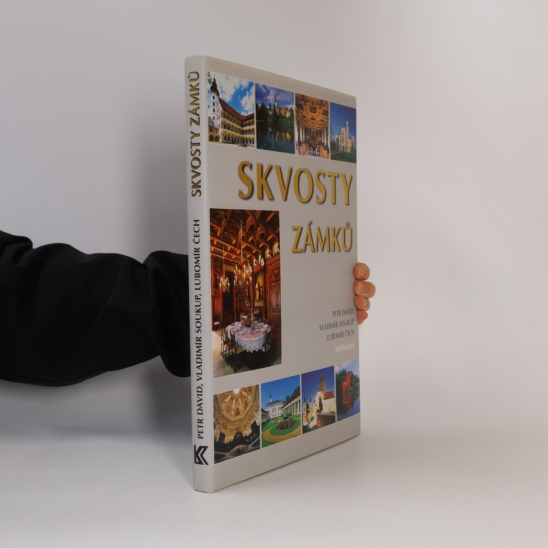 Petr David Skvosty zámků