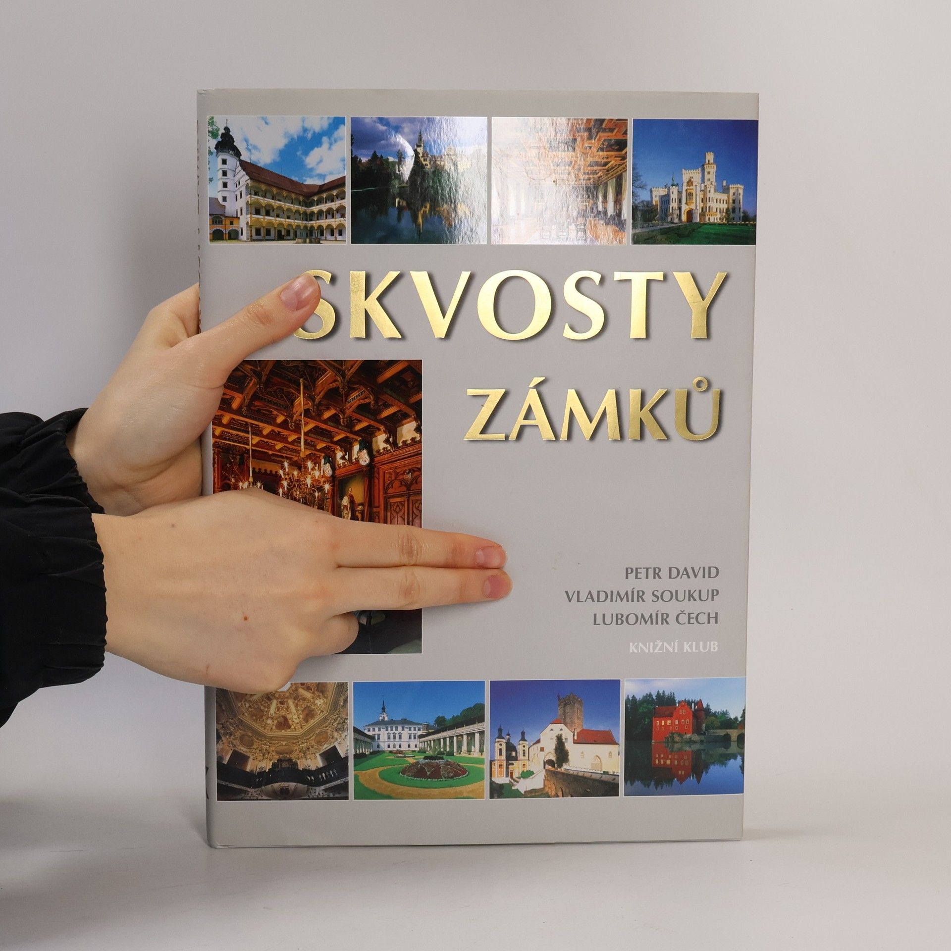 Petr David Skvosty zámků