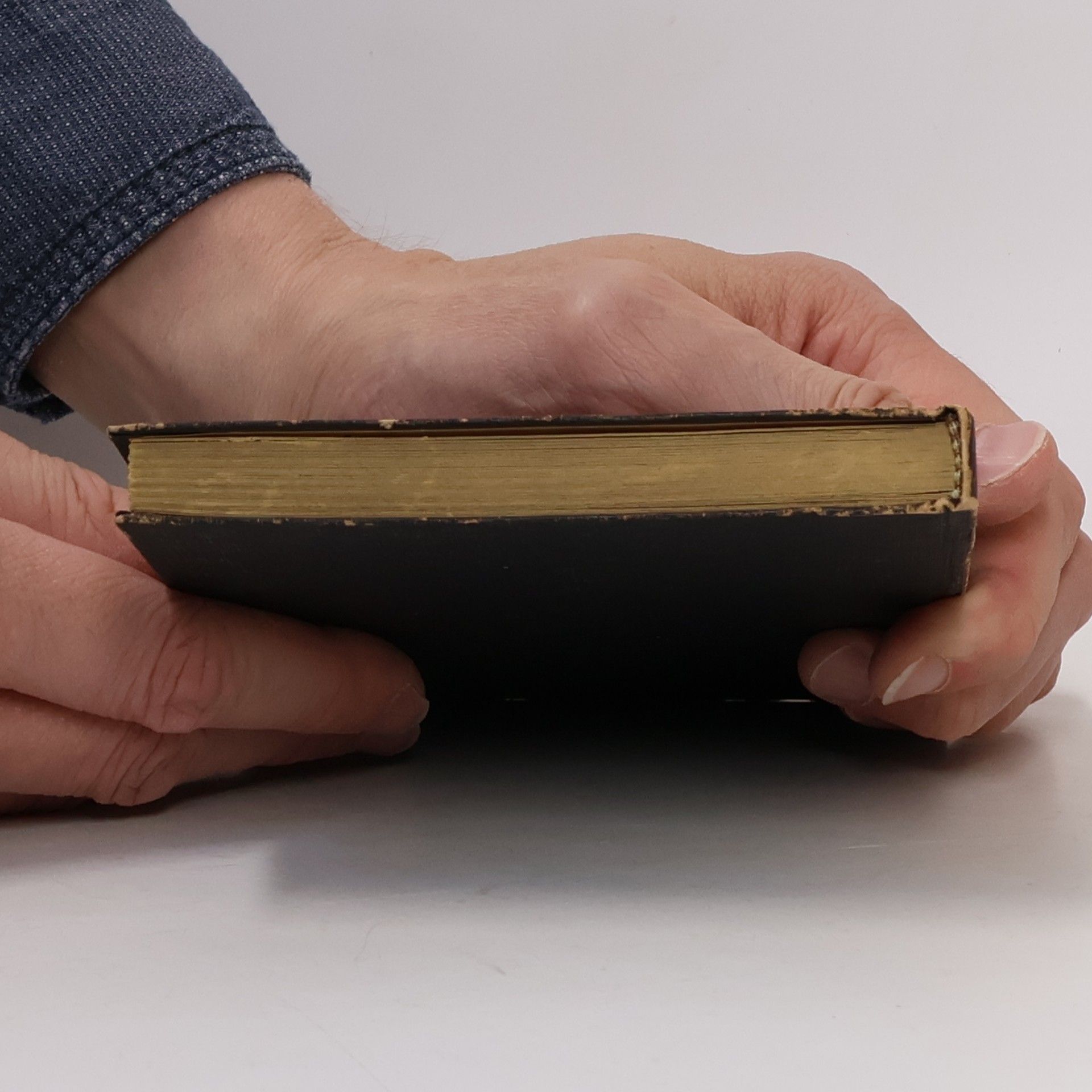 Autorenkollektiv Goethe reist durchs Schwabenland