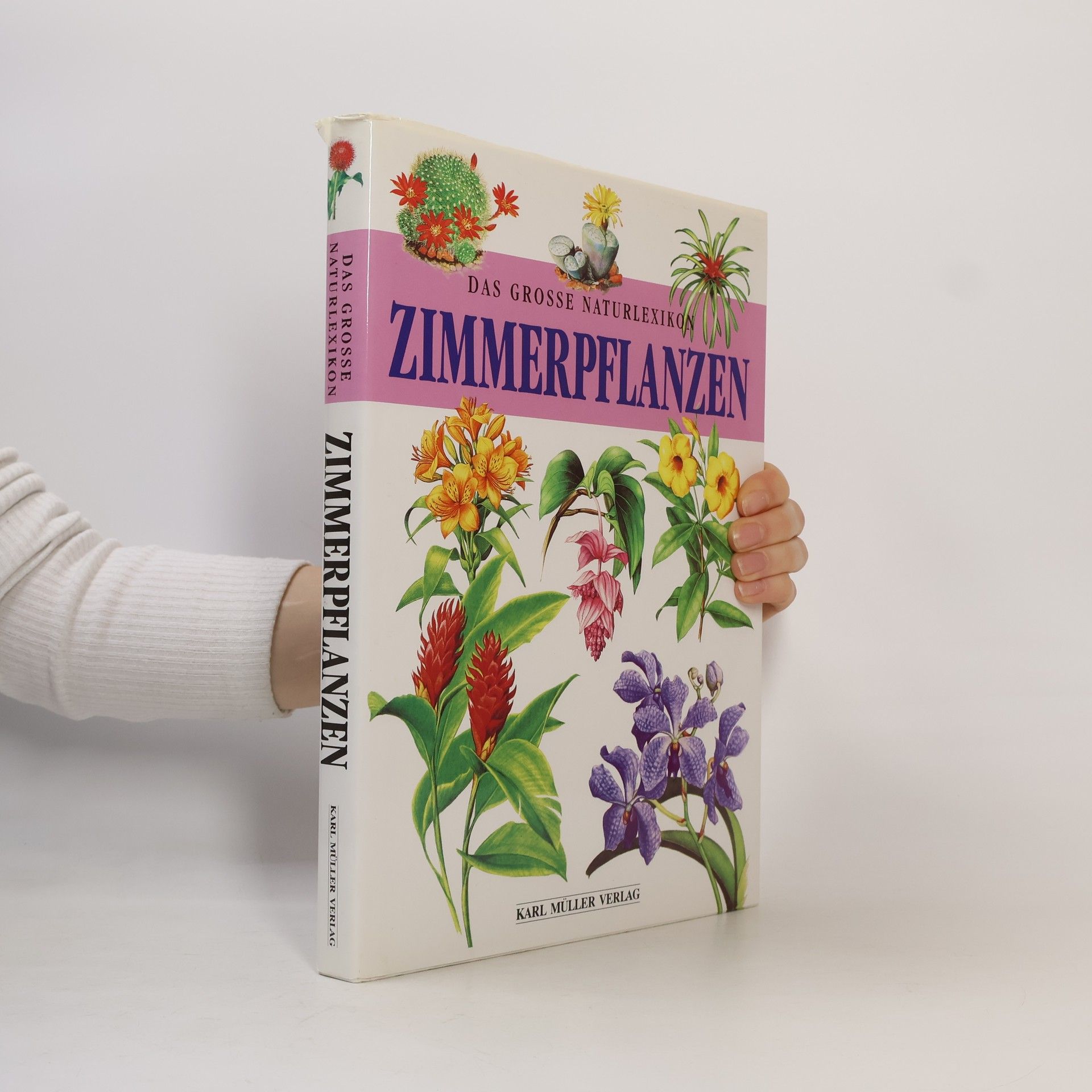 Zdeněk Berger Das grosse Naturlexikon - Zimmerpflanzen