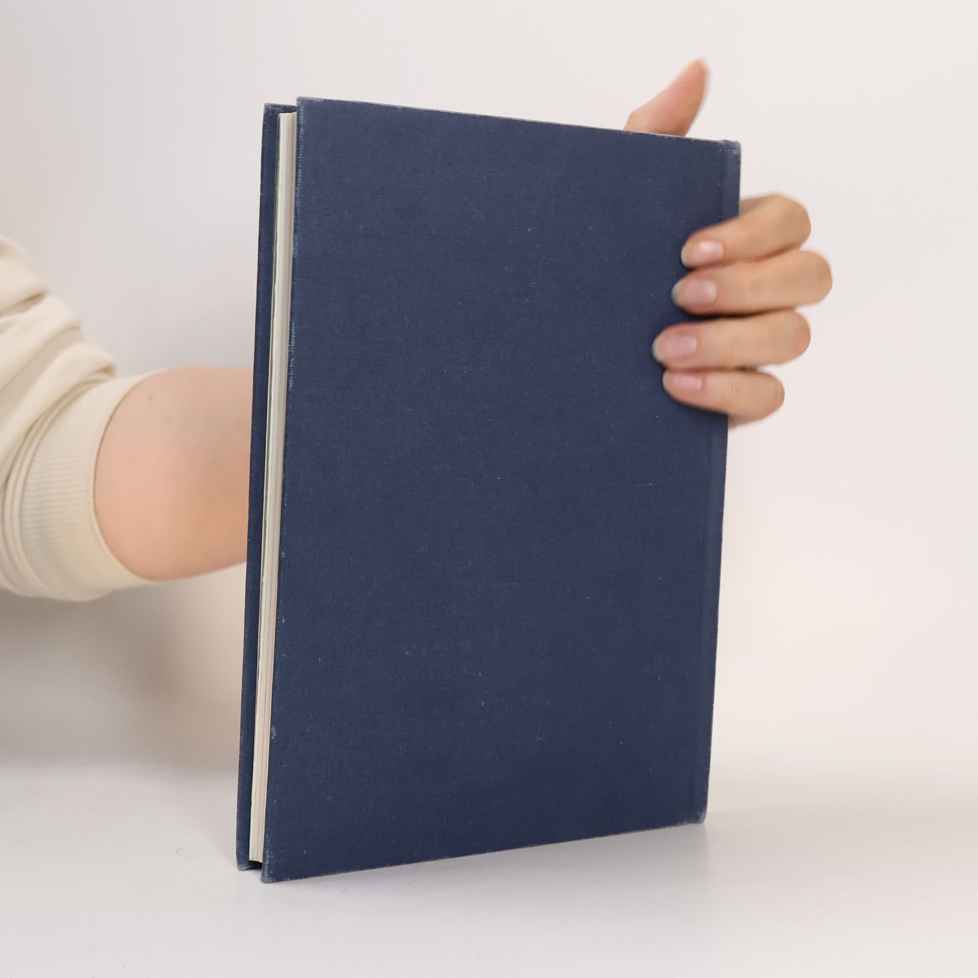 Mark Twain Dobrodružství Toma Sawyera