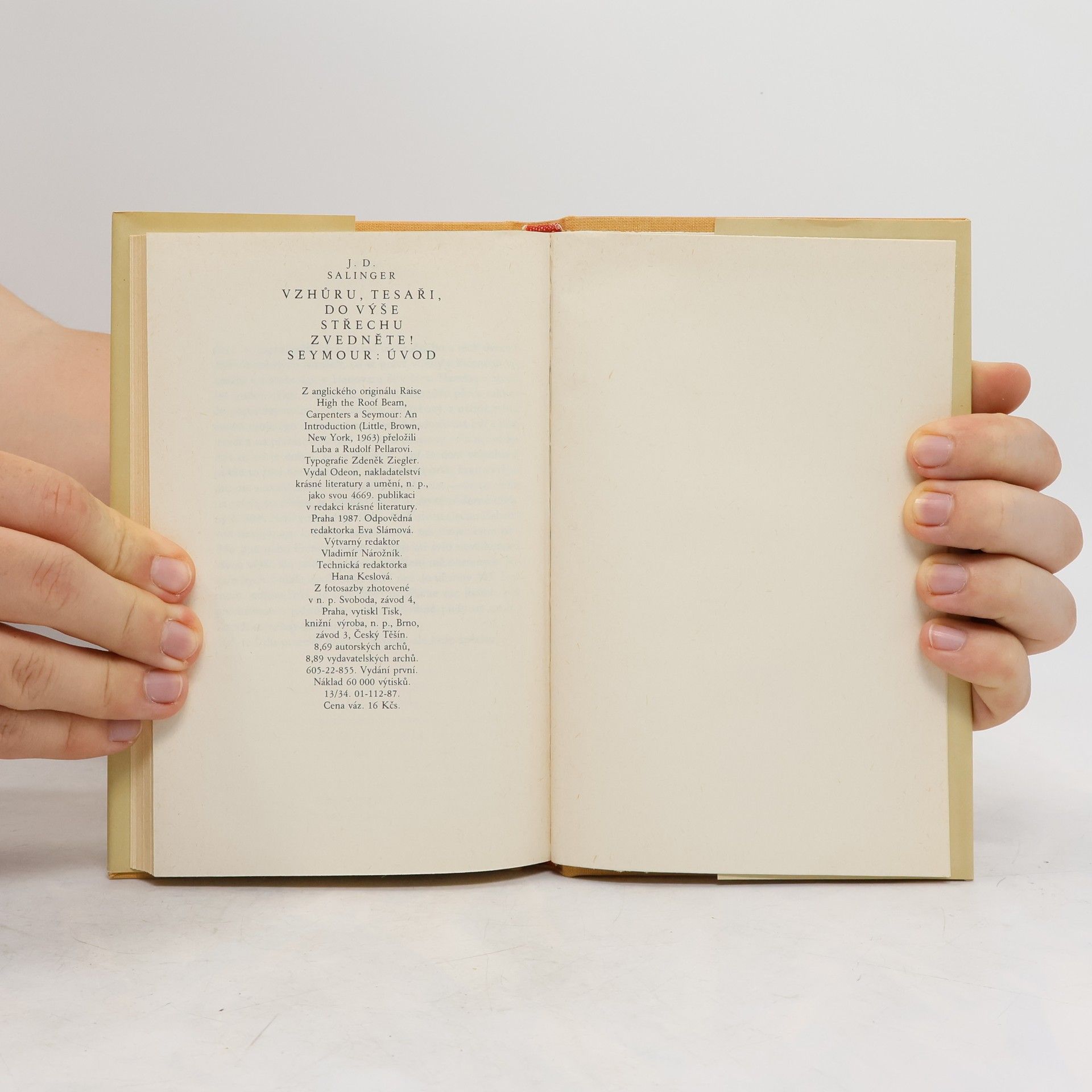 J. D. Salinger Vzhůru, tesaři, do výše střechu zvedněte! Úvod