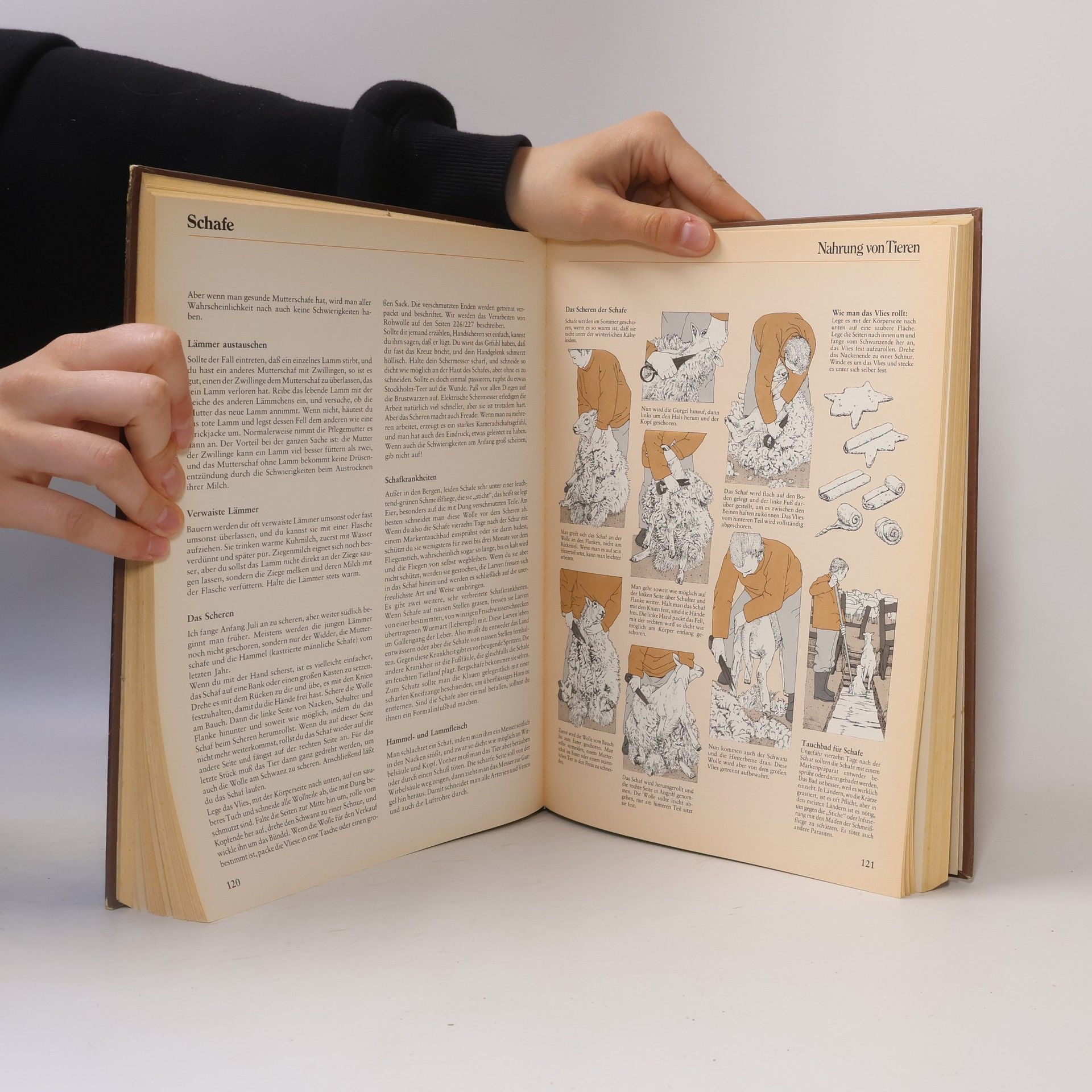John Seymour Das große Buch vom Leben auf dem Lande