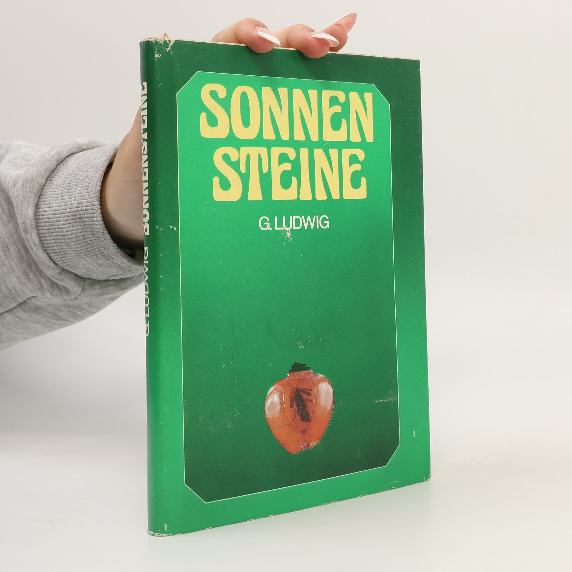 Günter Ludwig Sonnensteine