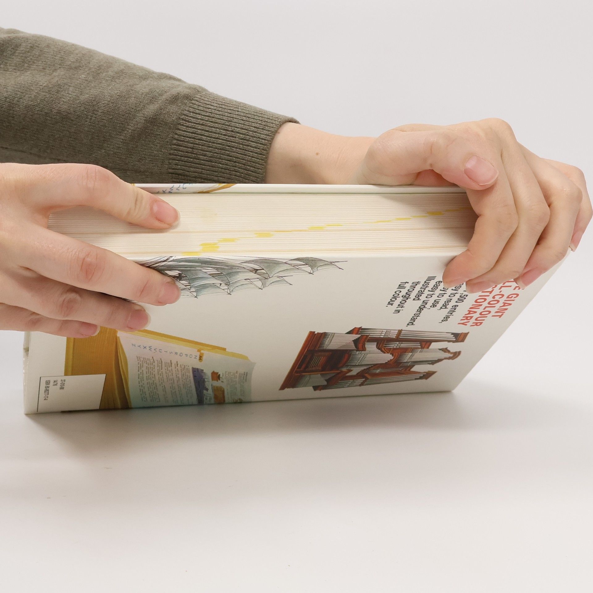 Stuart A. Courtis The Giant All-Colour Dictionary