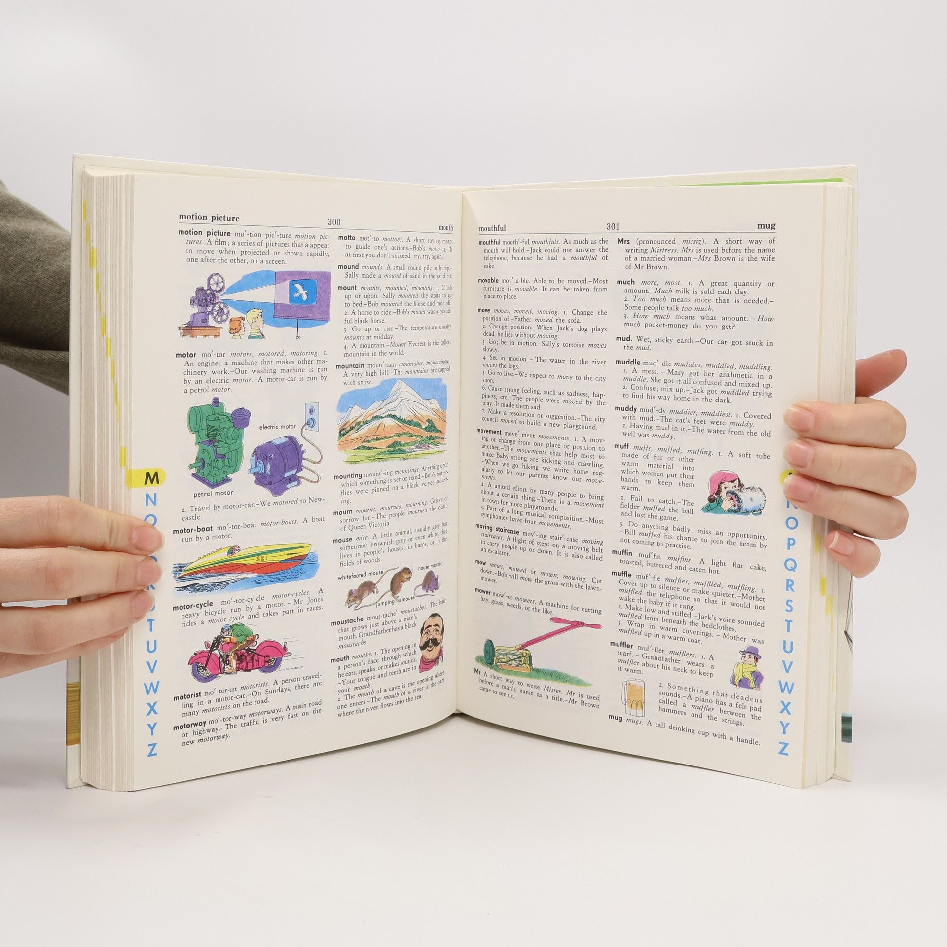 Stuart A. Courtis The Giant All-Colour Dictionary