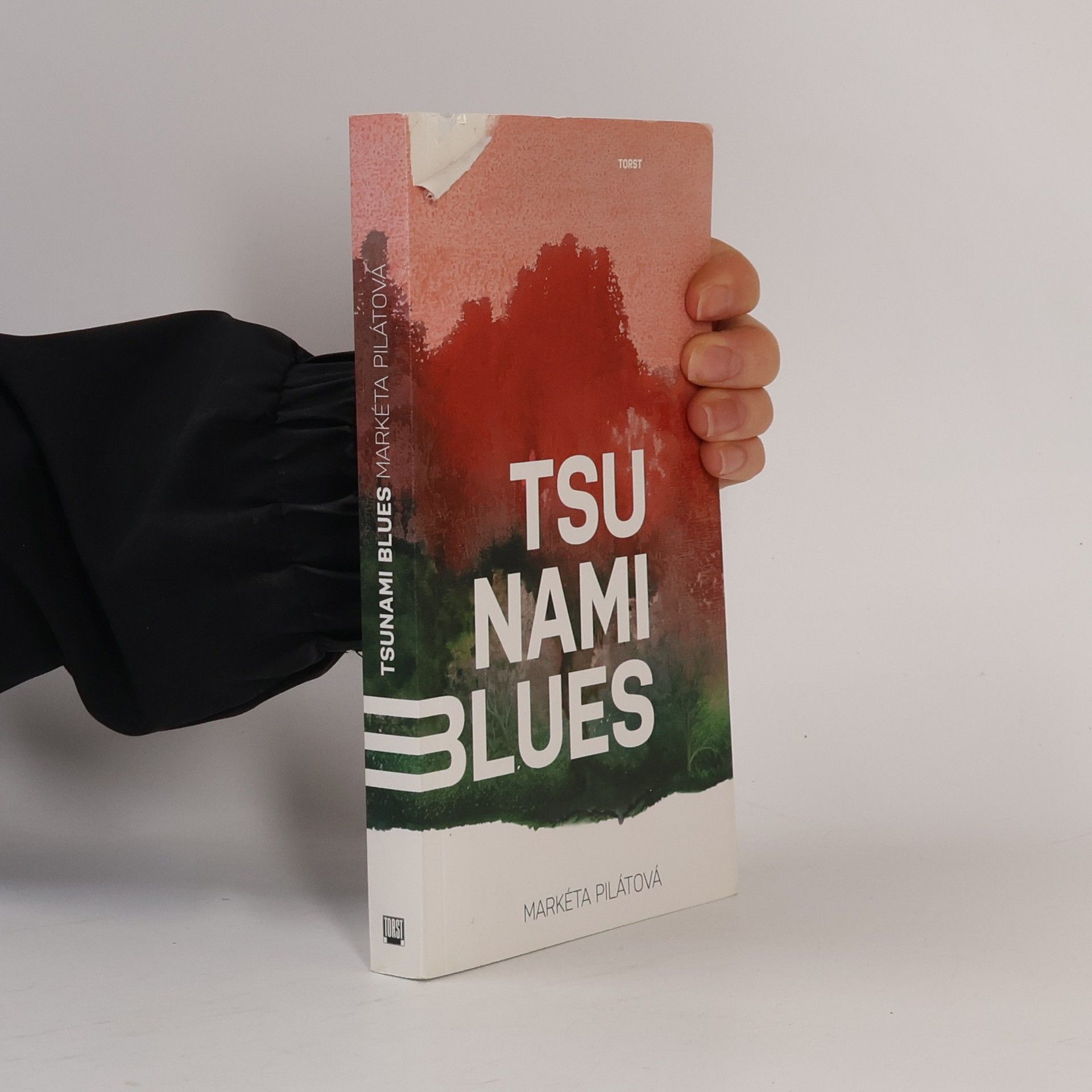 Markéta Pilátová Tsunami blues