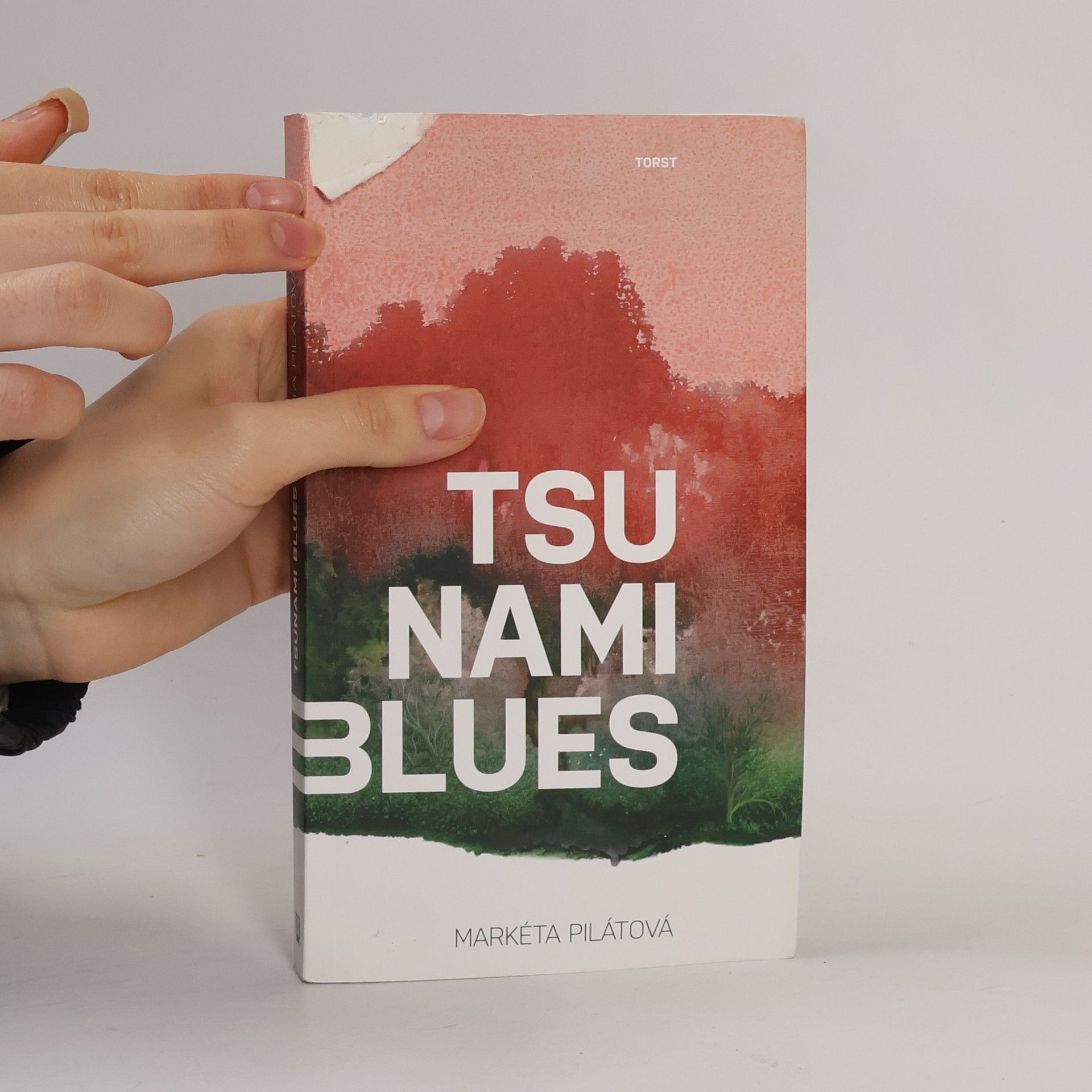 Markéta Pilátová Tsunami blues