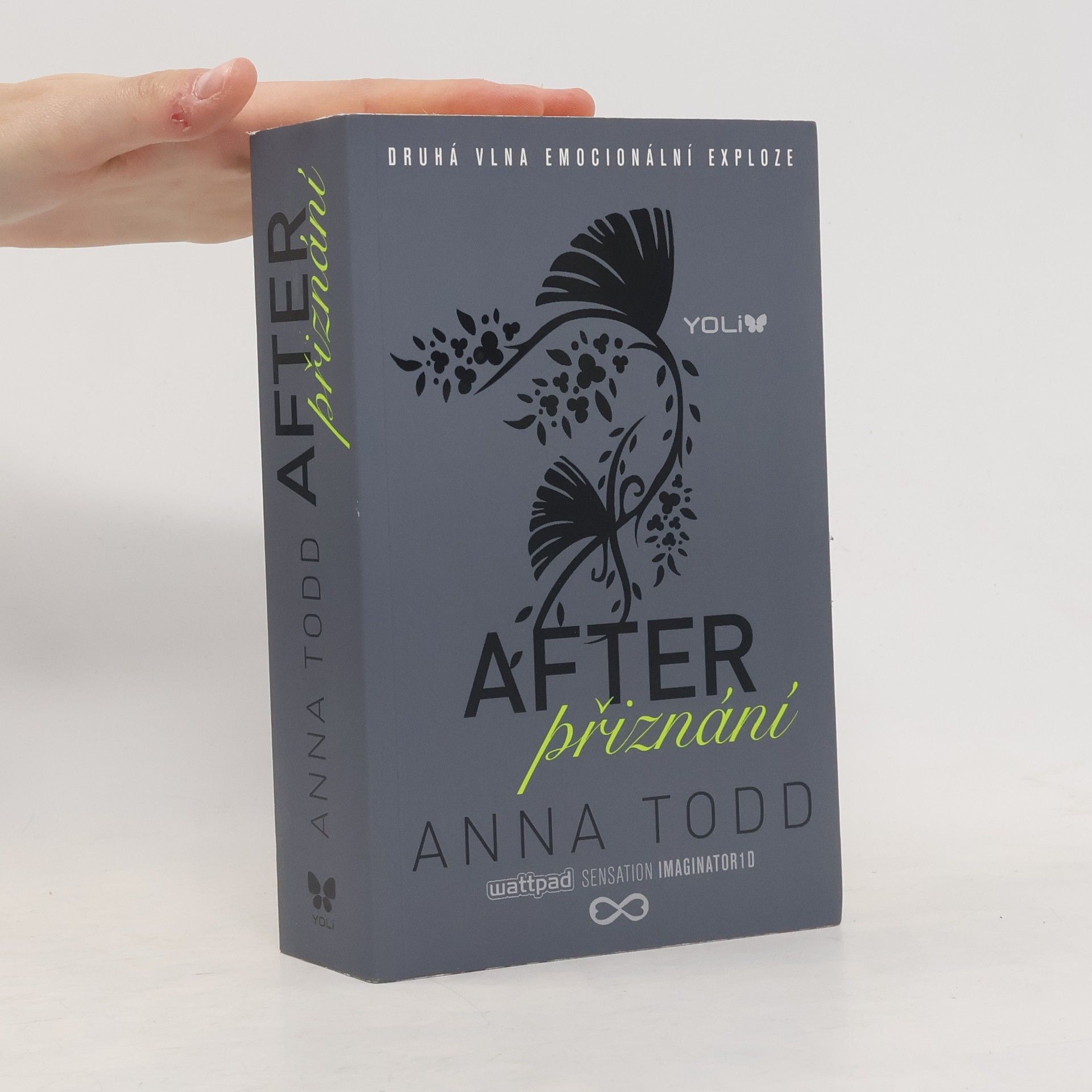 Anna Todd After. Přiznání