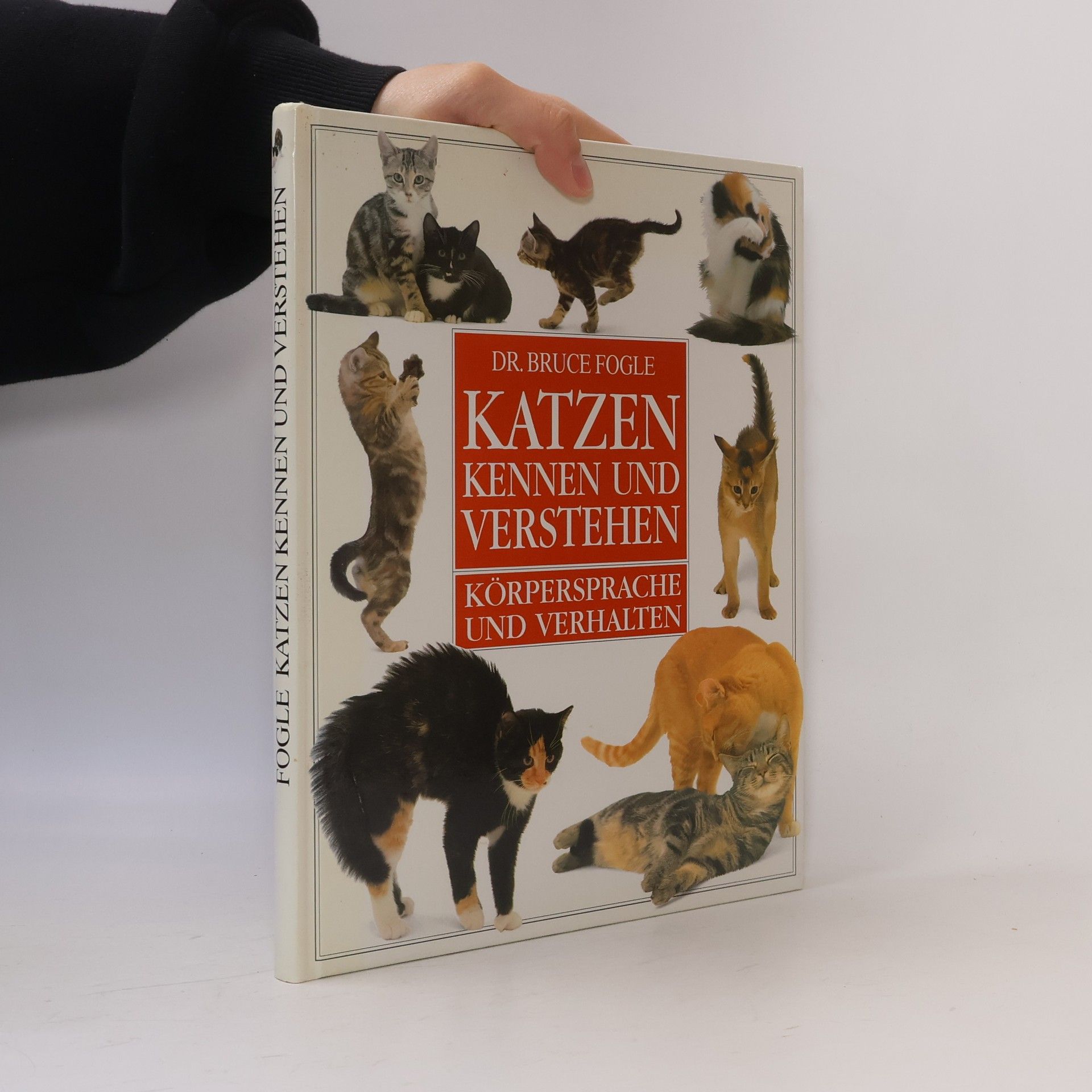 Bruce Folge Katzen kennen und verstehen