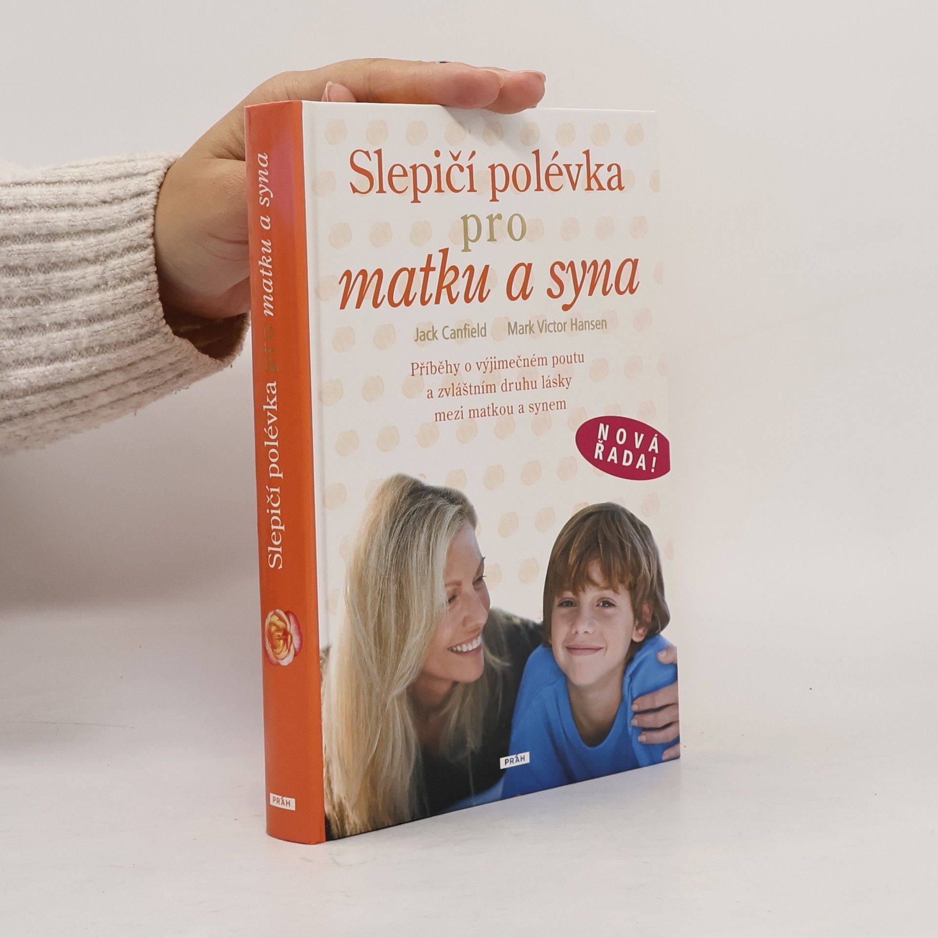 Mark Victor Hansen Slepičí polévka pro matku a syna