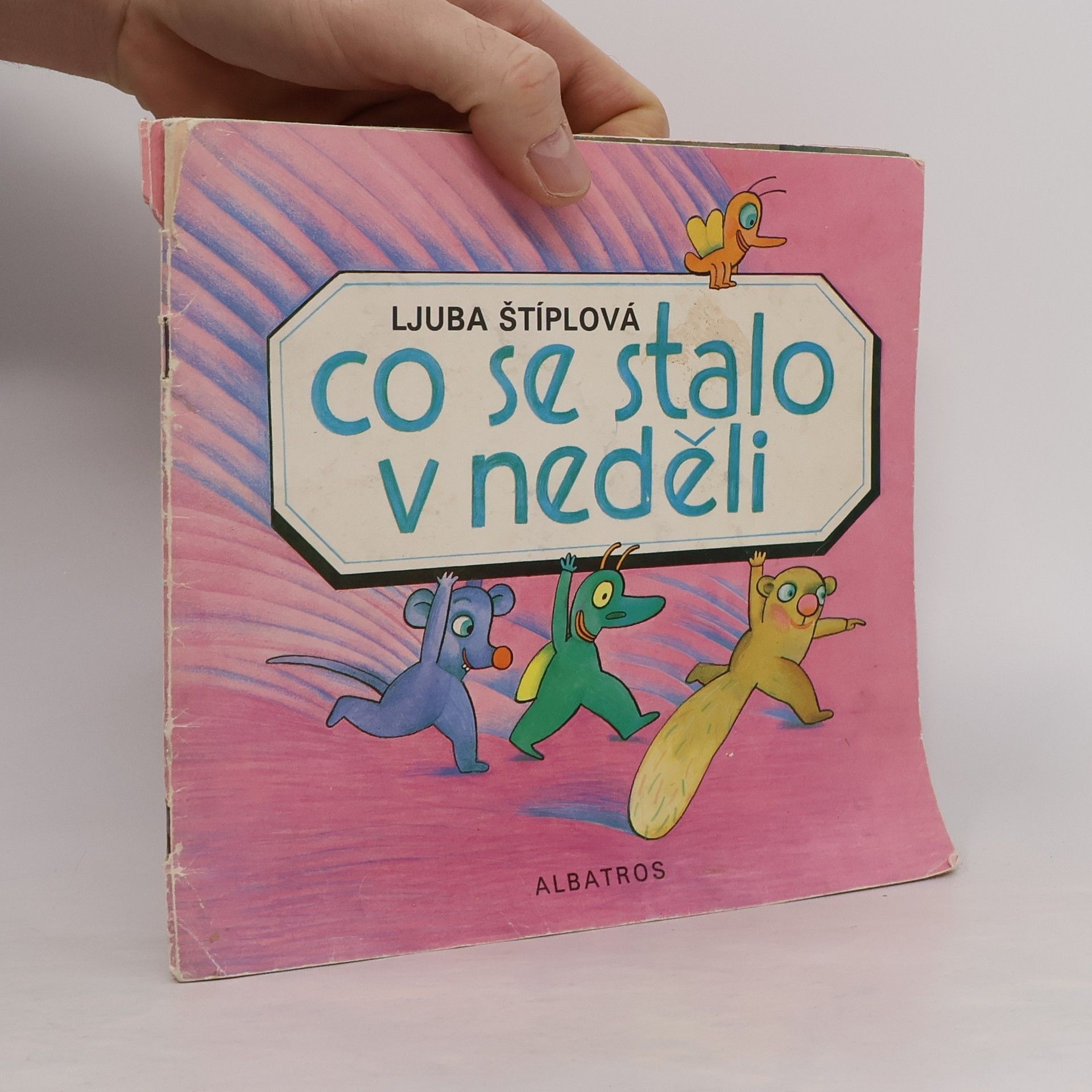 Lucie Dvořáková Co se stalo v neděli