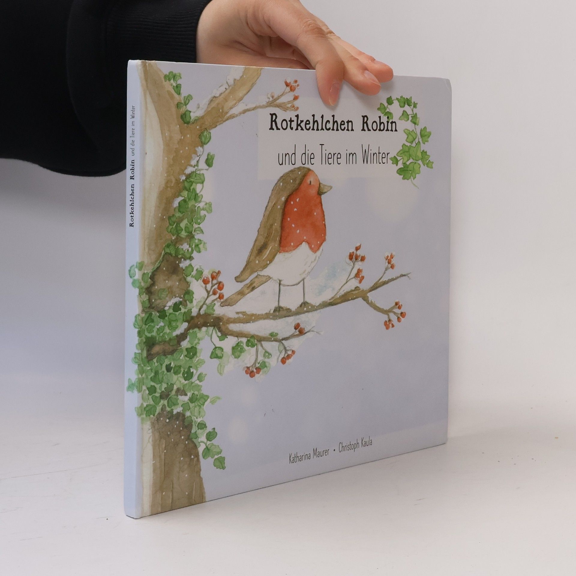 Rotkehlchen Robin und die Tiere im Winter