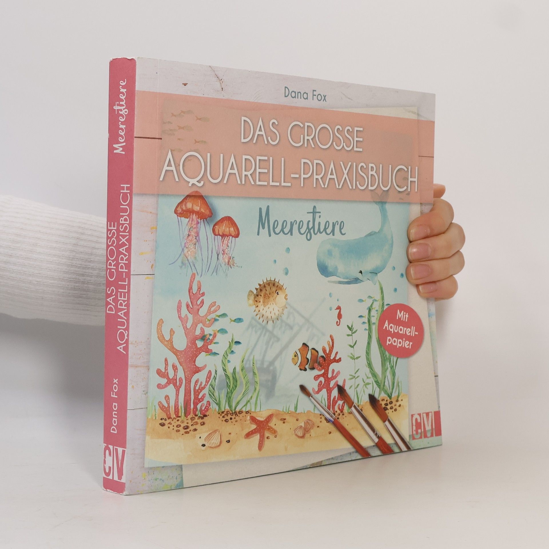 Dana Fox Das große Aquarell-Praxisbuch