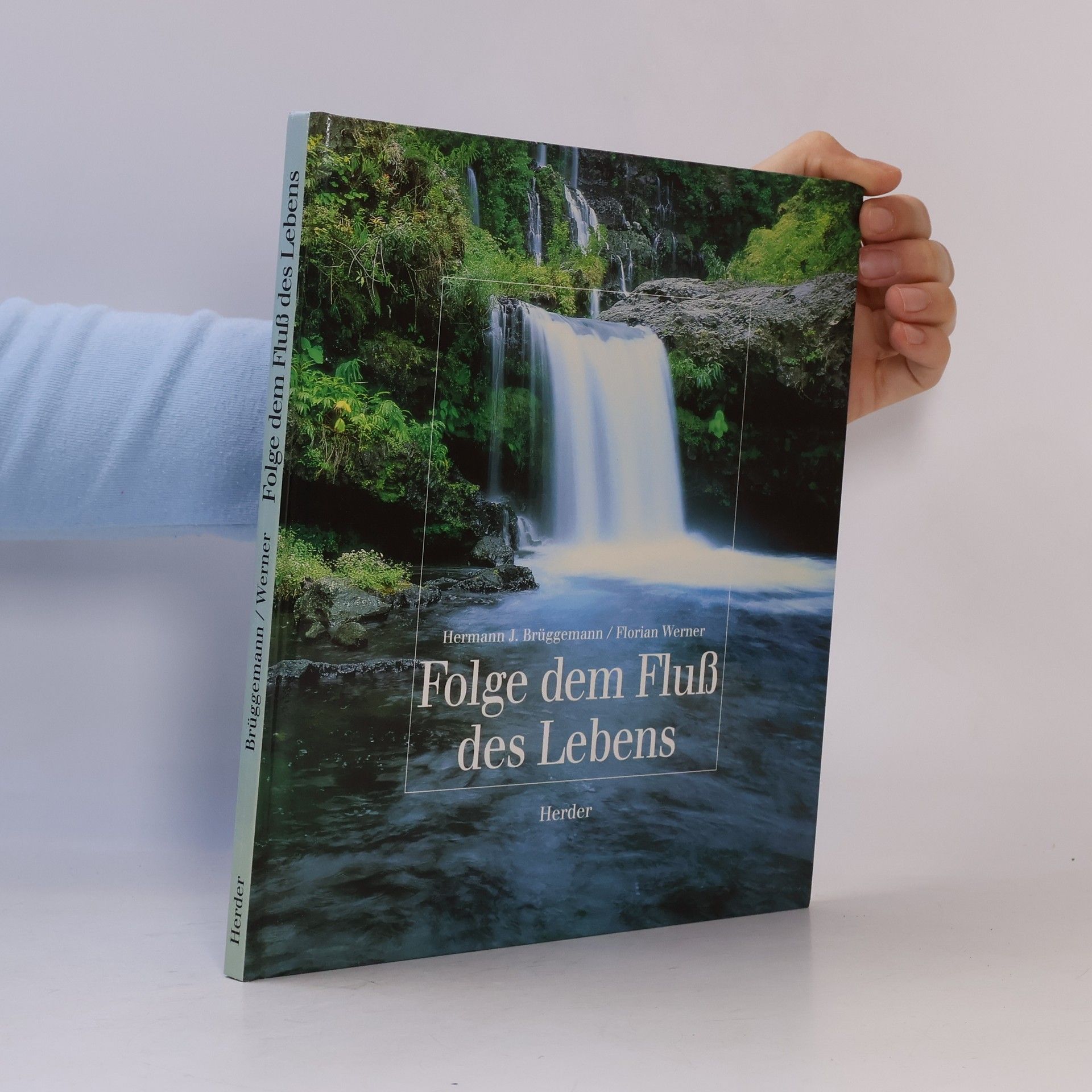 Folge dem Fluss des Lebens