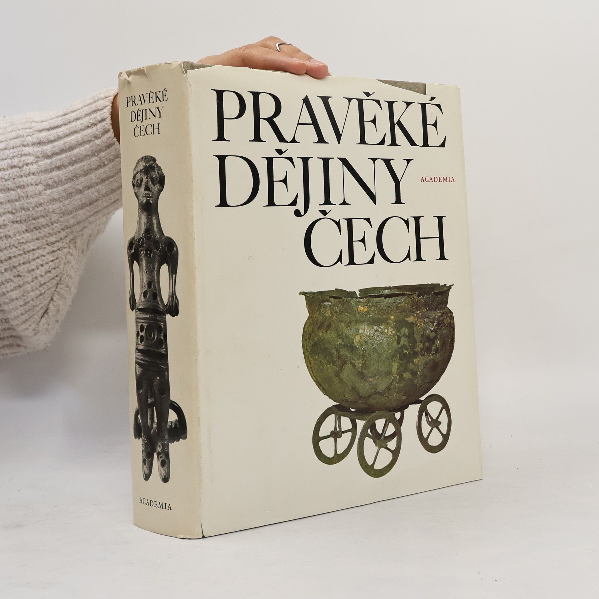 Alena Rybová Pravěké dějiny Čech