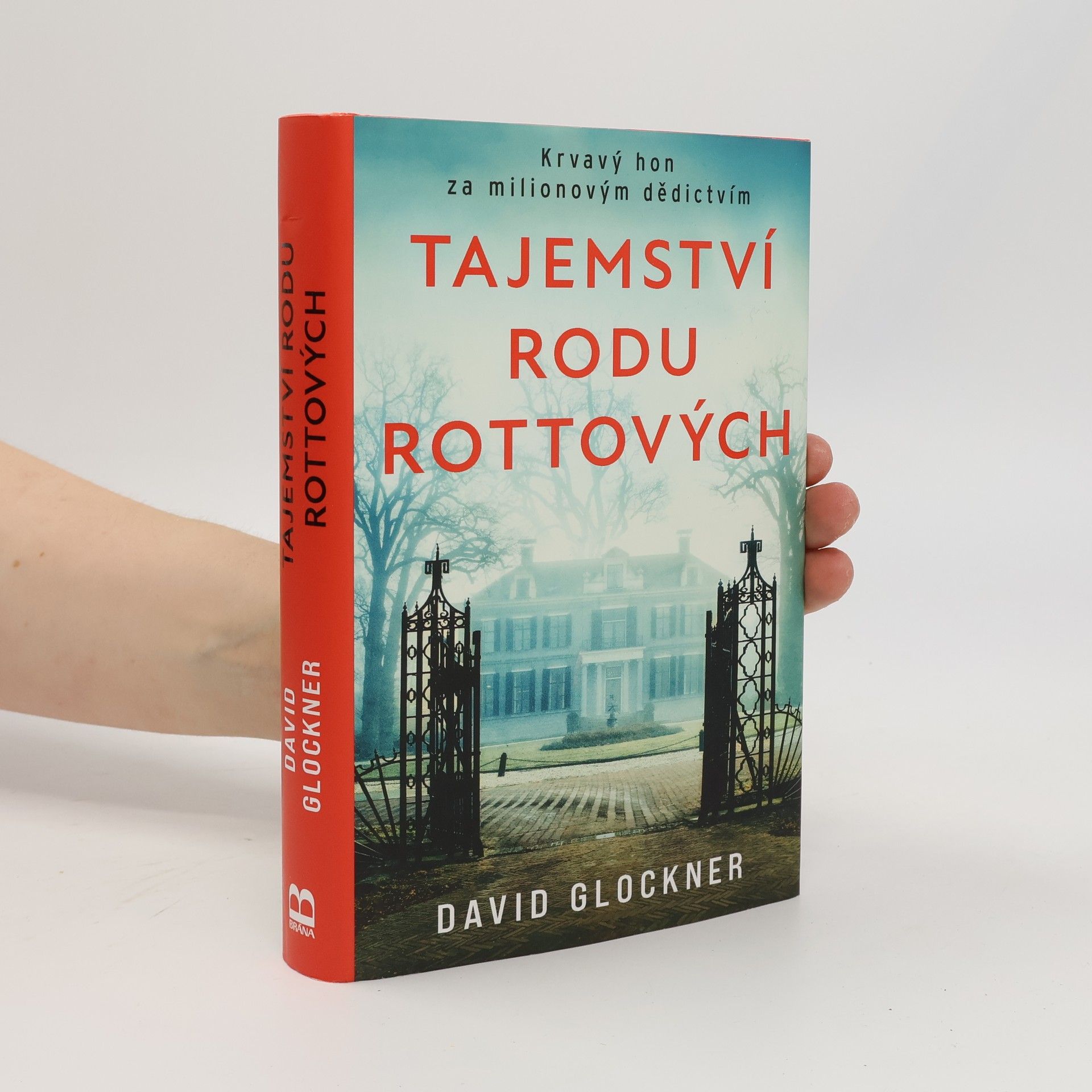 David Glockner Tajemství rodu Rottových