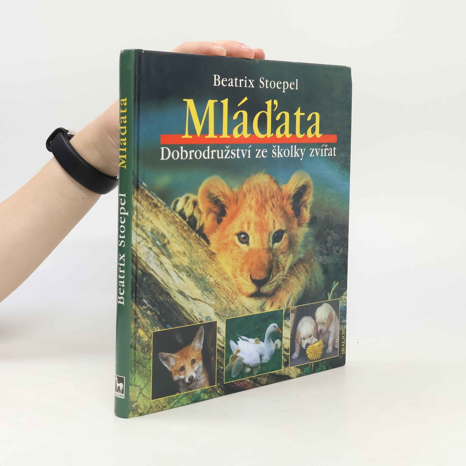 Mláďata. Dobrodružství ze školky zvířat