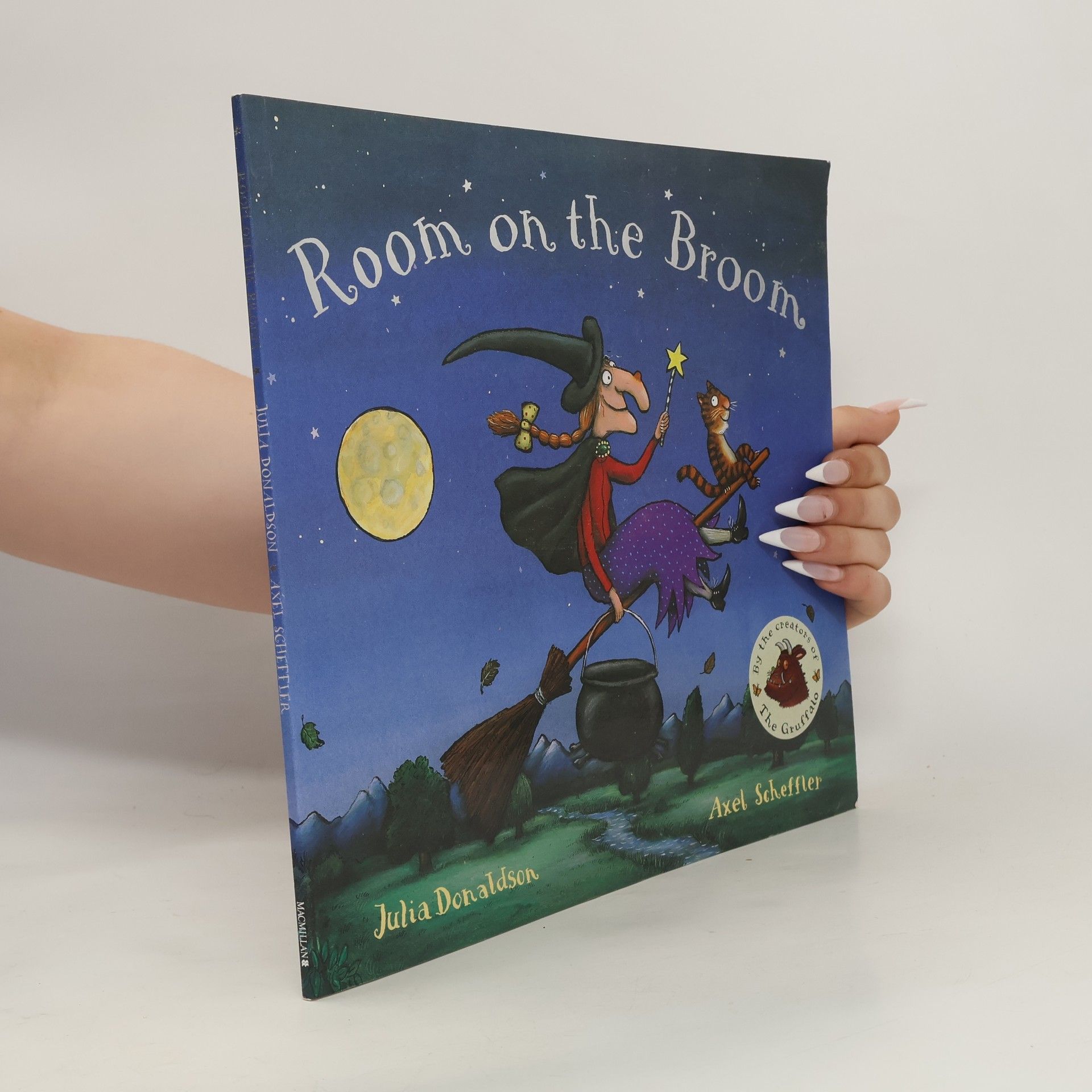 Julia Donaldson Room on the Broom
