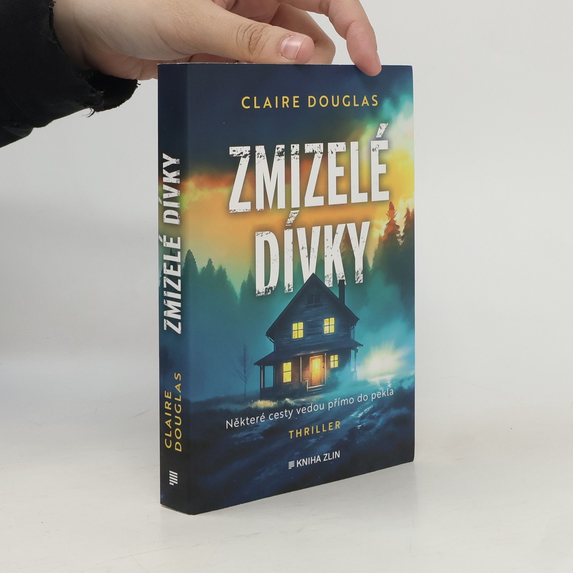 Zmizelé dívky