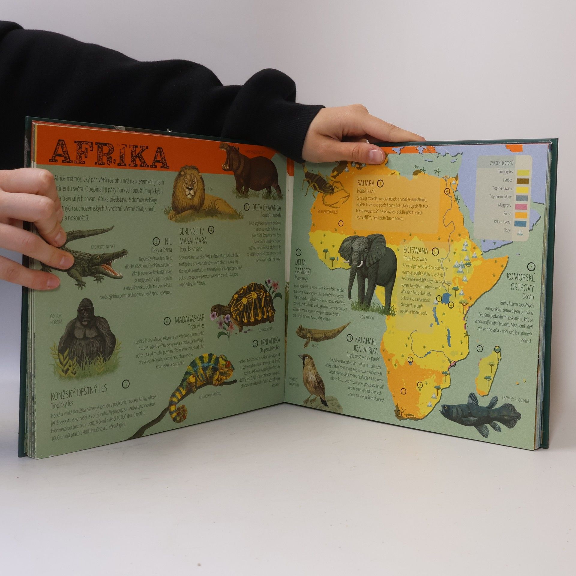 Anne Rooney Atlas zvířat