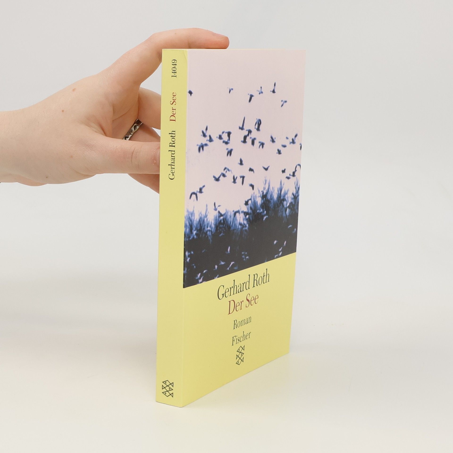 Gerhard Roth Der See : Roman