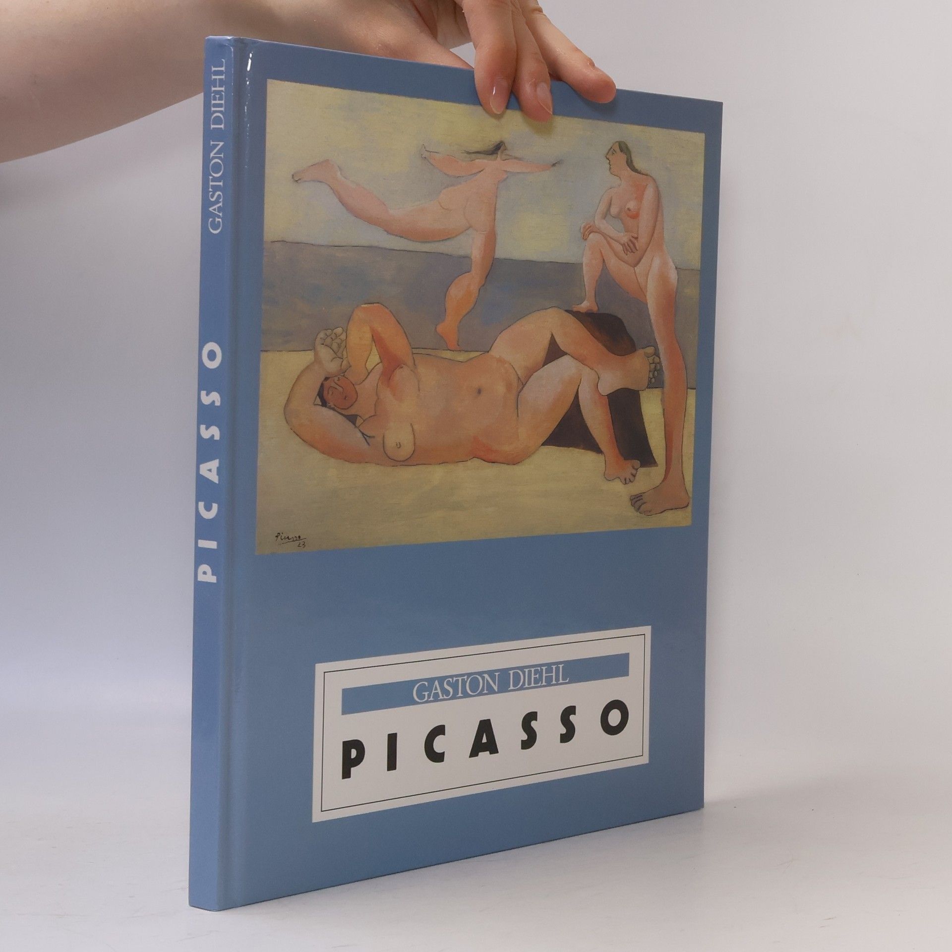 Gaston Diehl Picasso